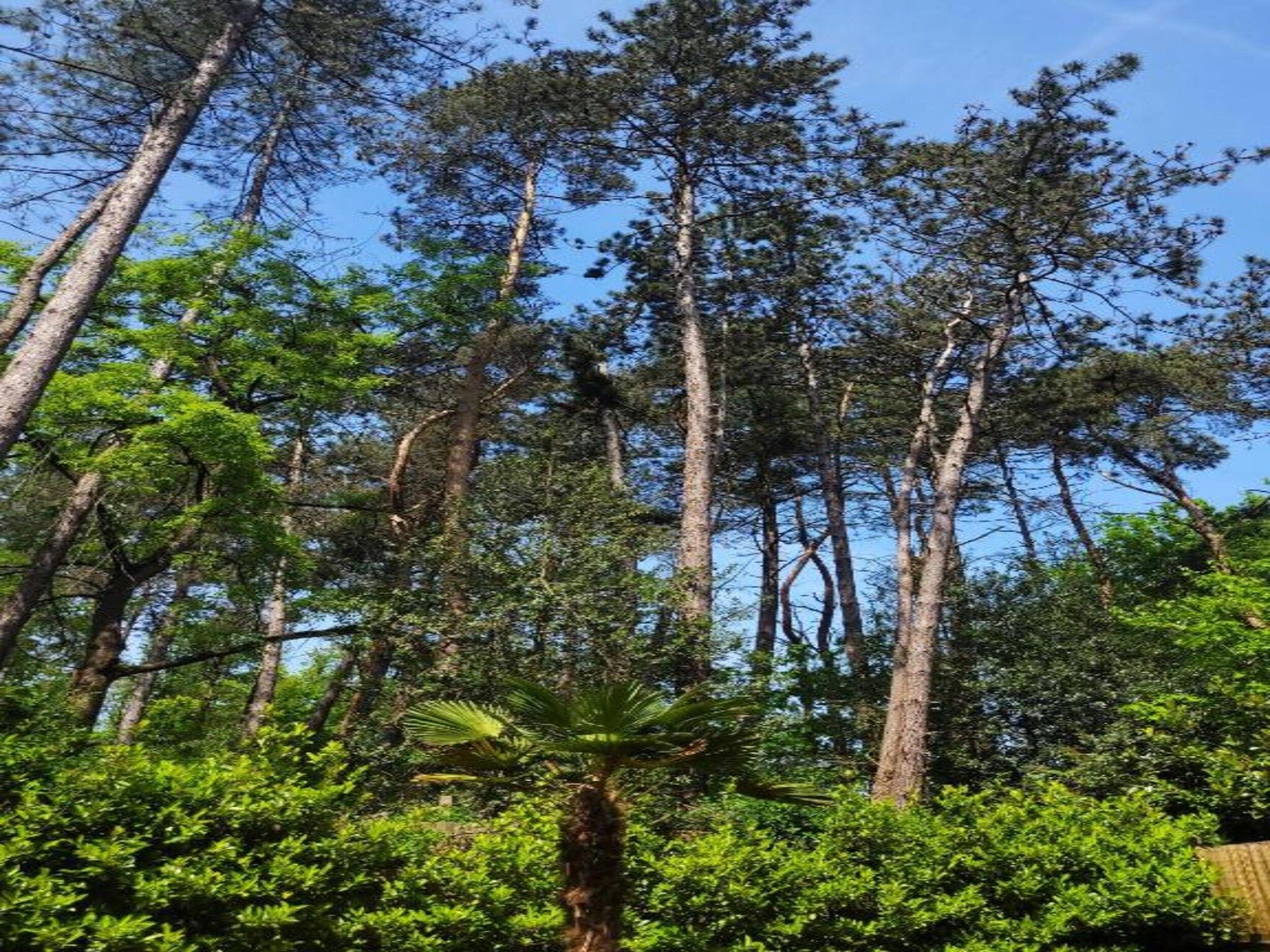 't Kokhuus in Holten - Foto 38 van 40