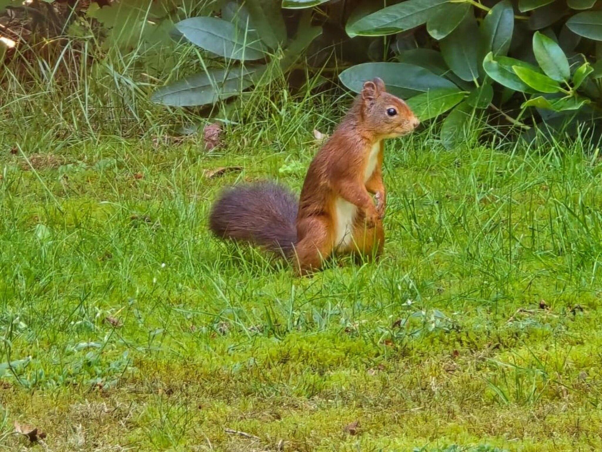 't Kokhuus in Holten - Foto 21 van 40