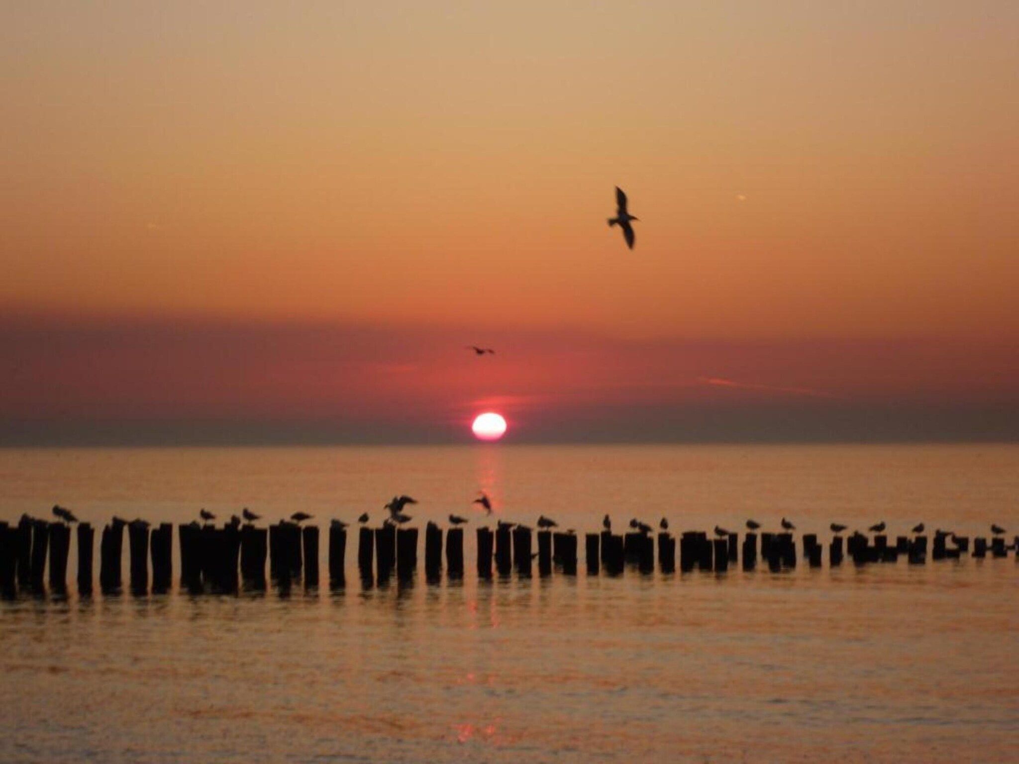 Résidence Wijngaerde 8 in Domburg - Foto 33 van 40