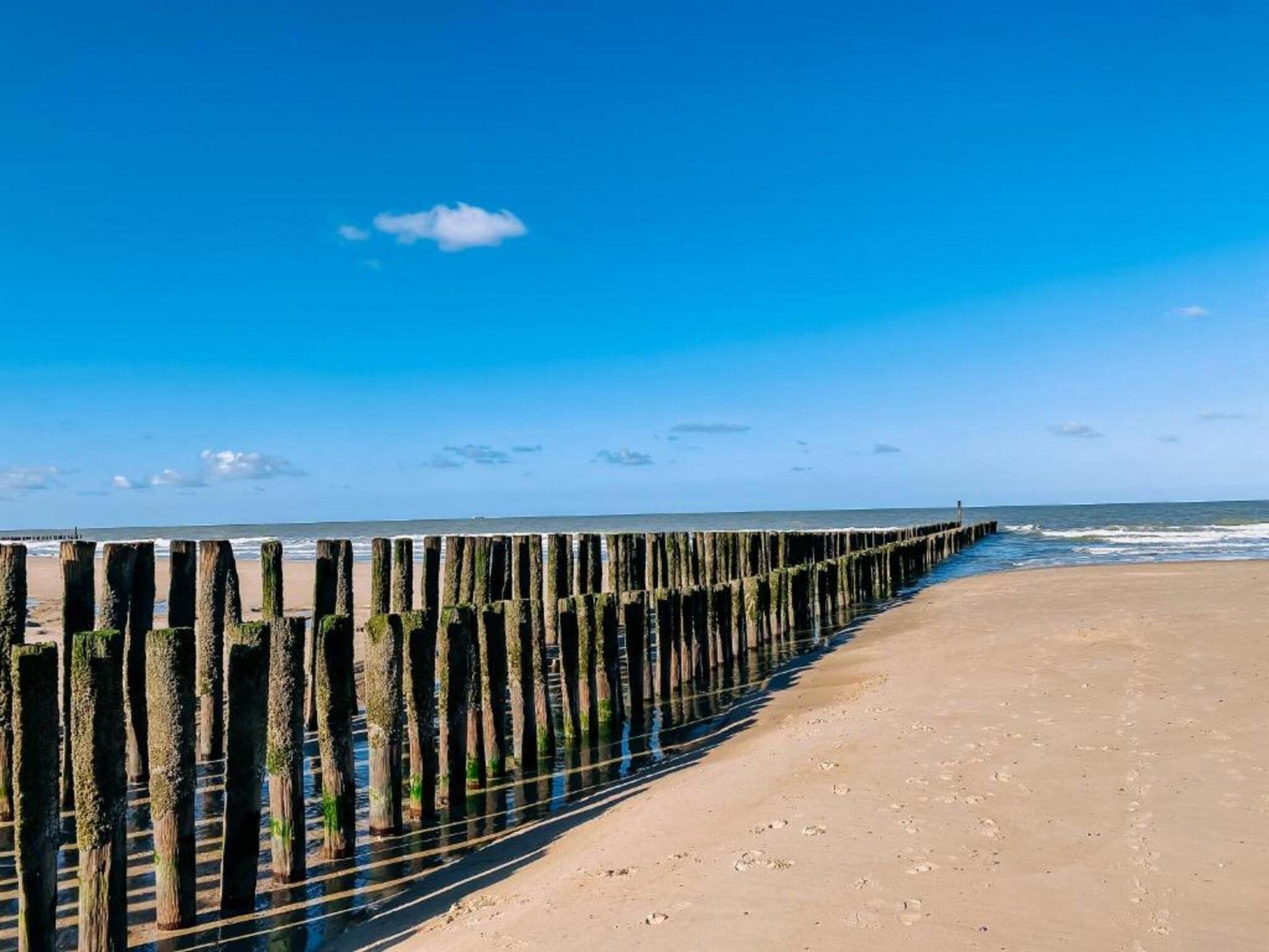 Résidence Wijngaerde 9 in Domburg - Foto 19 van 40