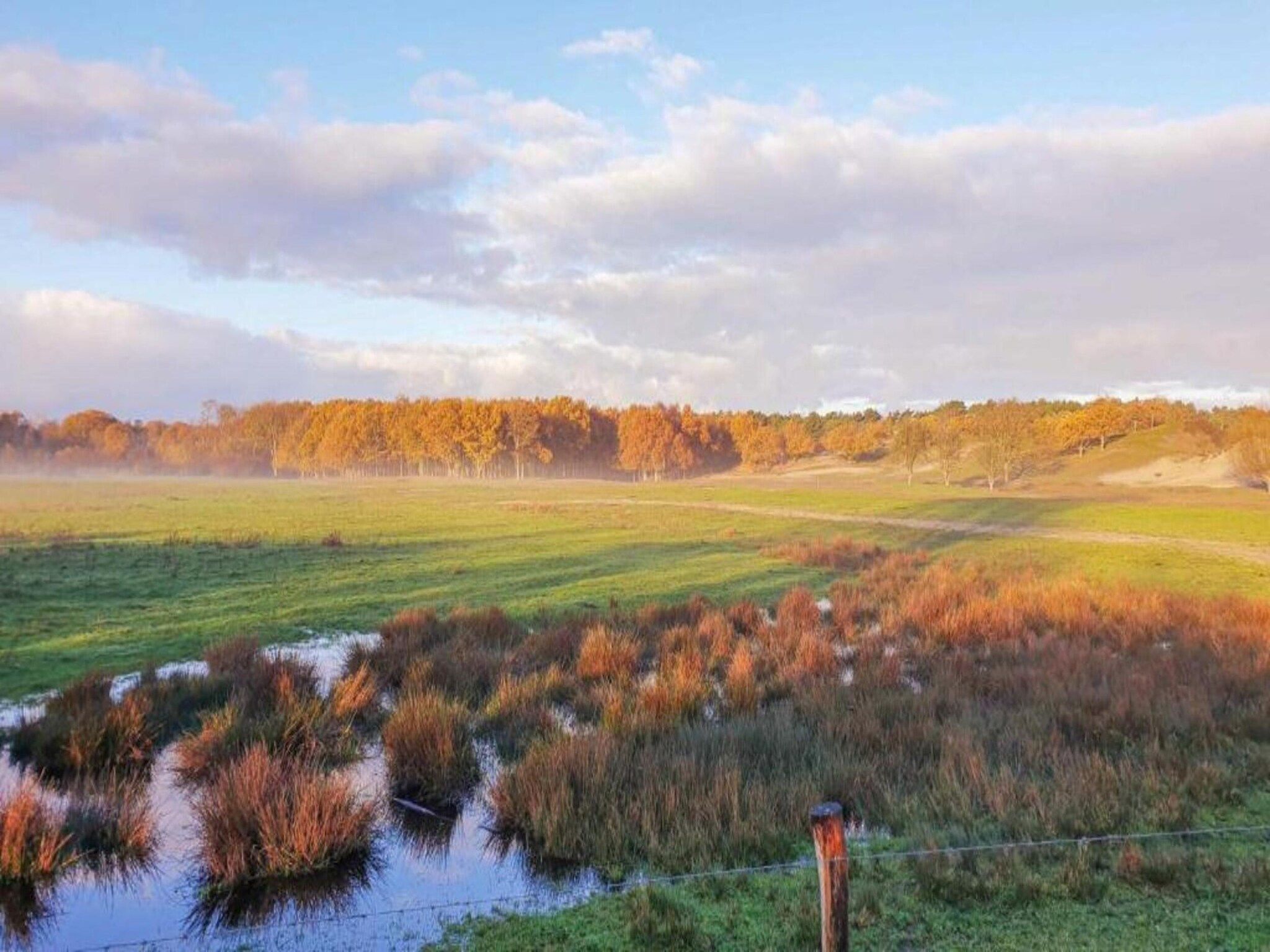Résidence Wijngaerde 9 in Domburg - Foto 22 van 40
