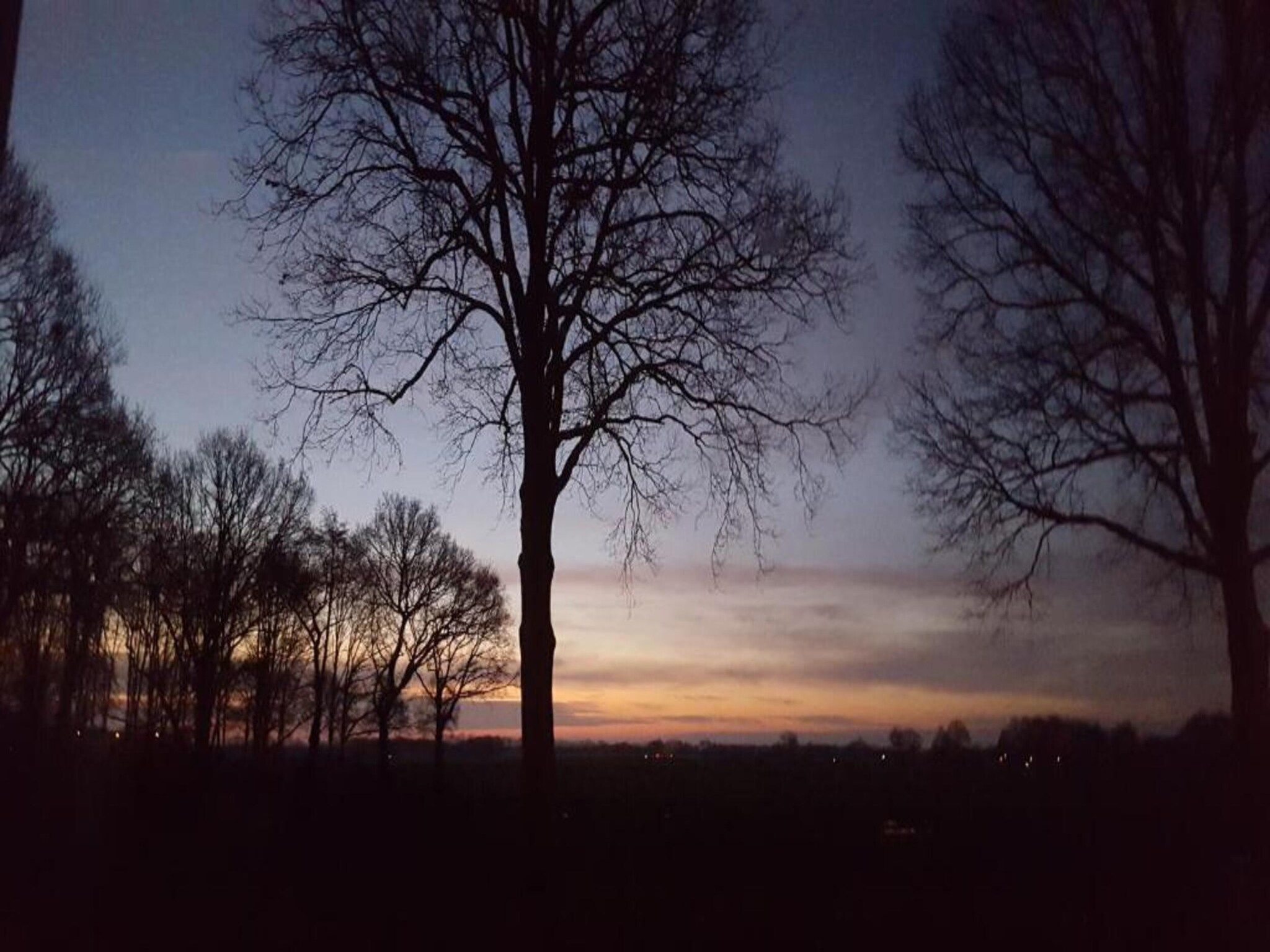 De Drentsche Patrijs in Mantinge - Foto 39 van 40