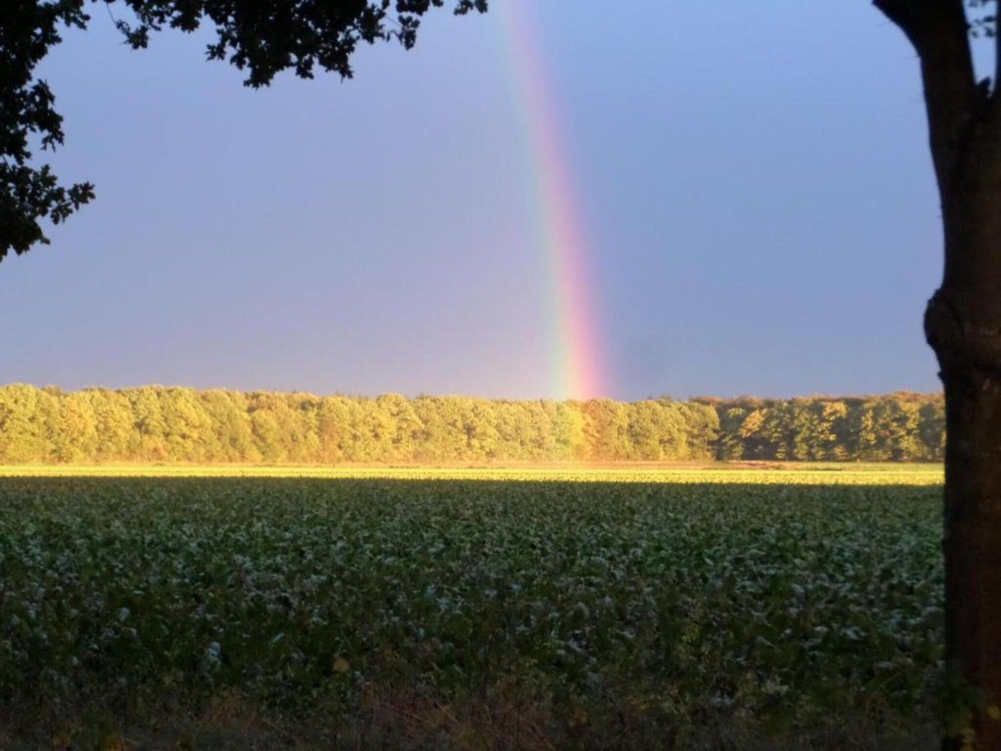 De Drentsche Patrijs in Mantinge - Foto 34 van 40