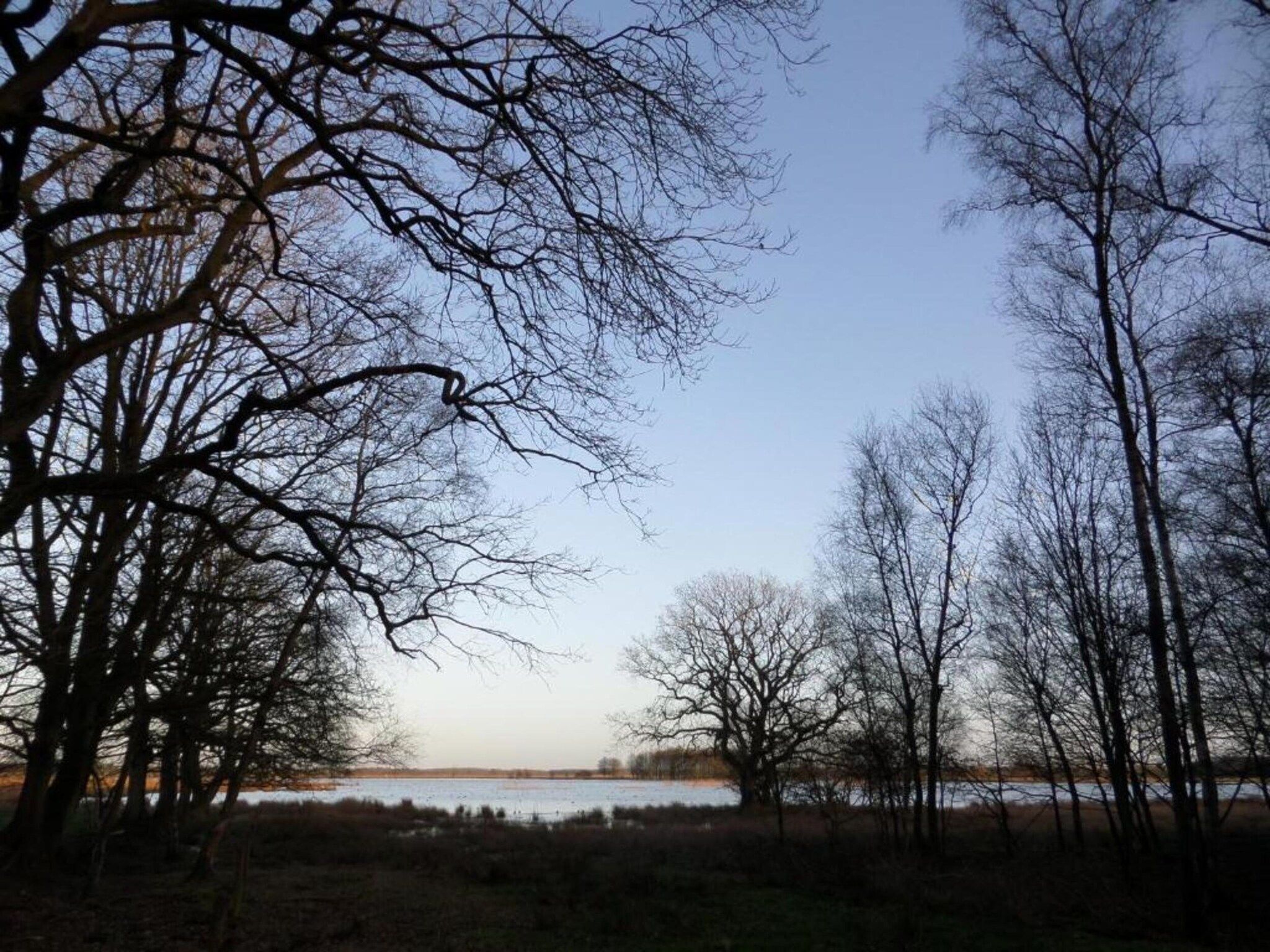 De Drentsche Patrijs in Mantinge - Foto 31 van 40
