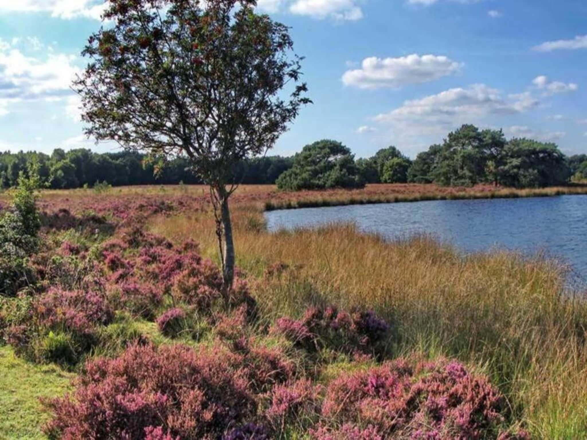De Drentsche Patrijs in Mantinge - Foto 40 van 40