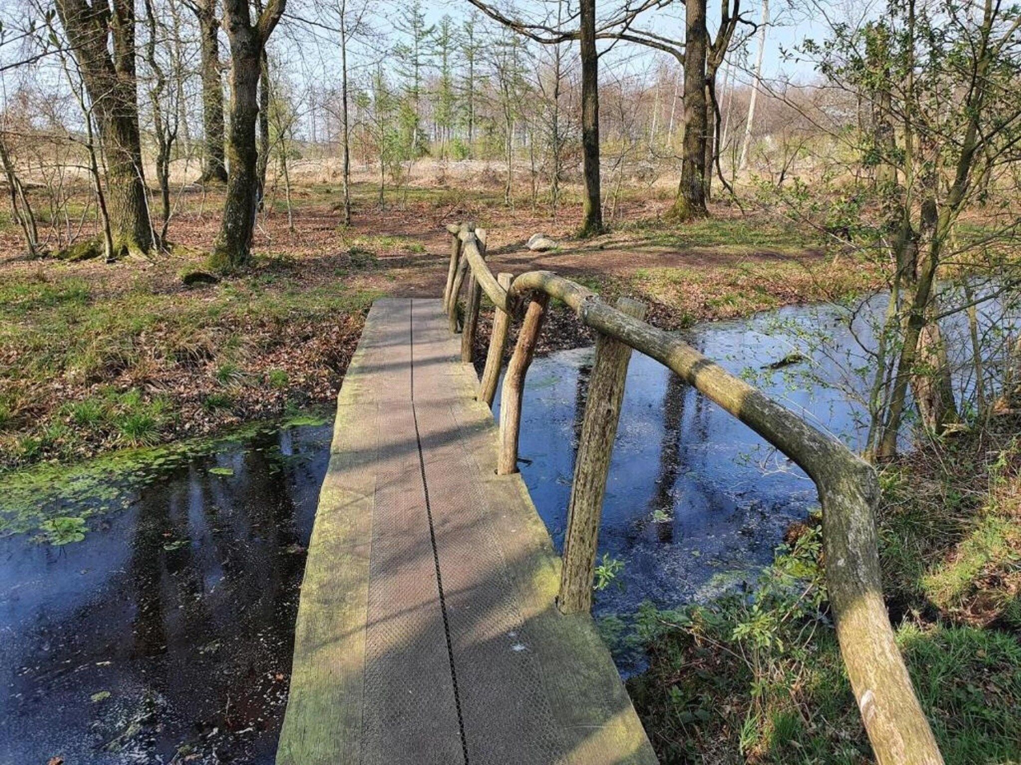 De Drentsche Patrijs in Mantinge - Foto 25 van 40