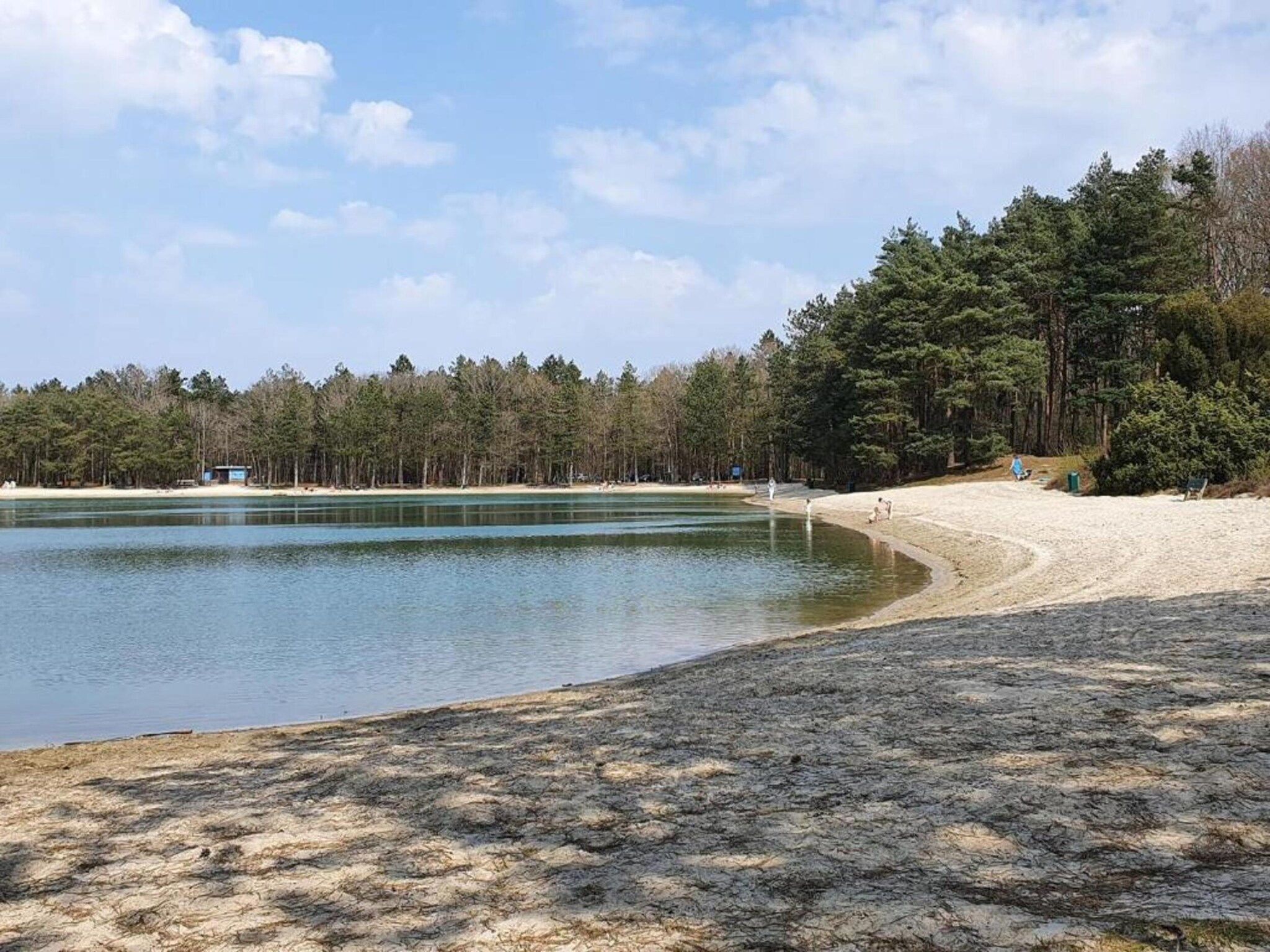 De Drentsche Patrijs in Mantinge - Foto 26 van 40