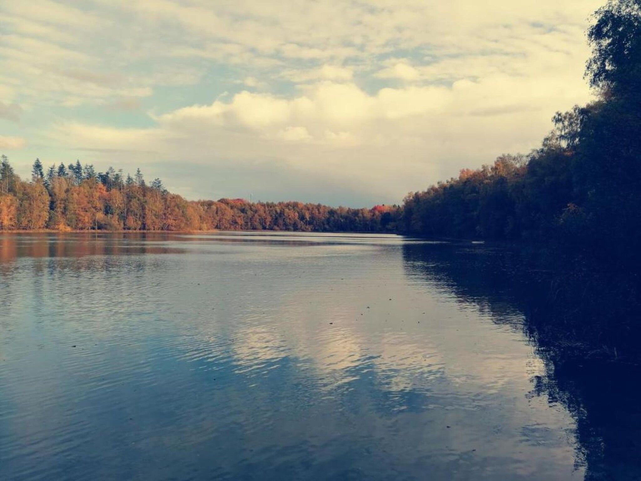 De Drentsche Patrijs in Mantinge - Foto 29 van 40