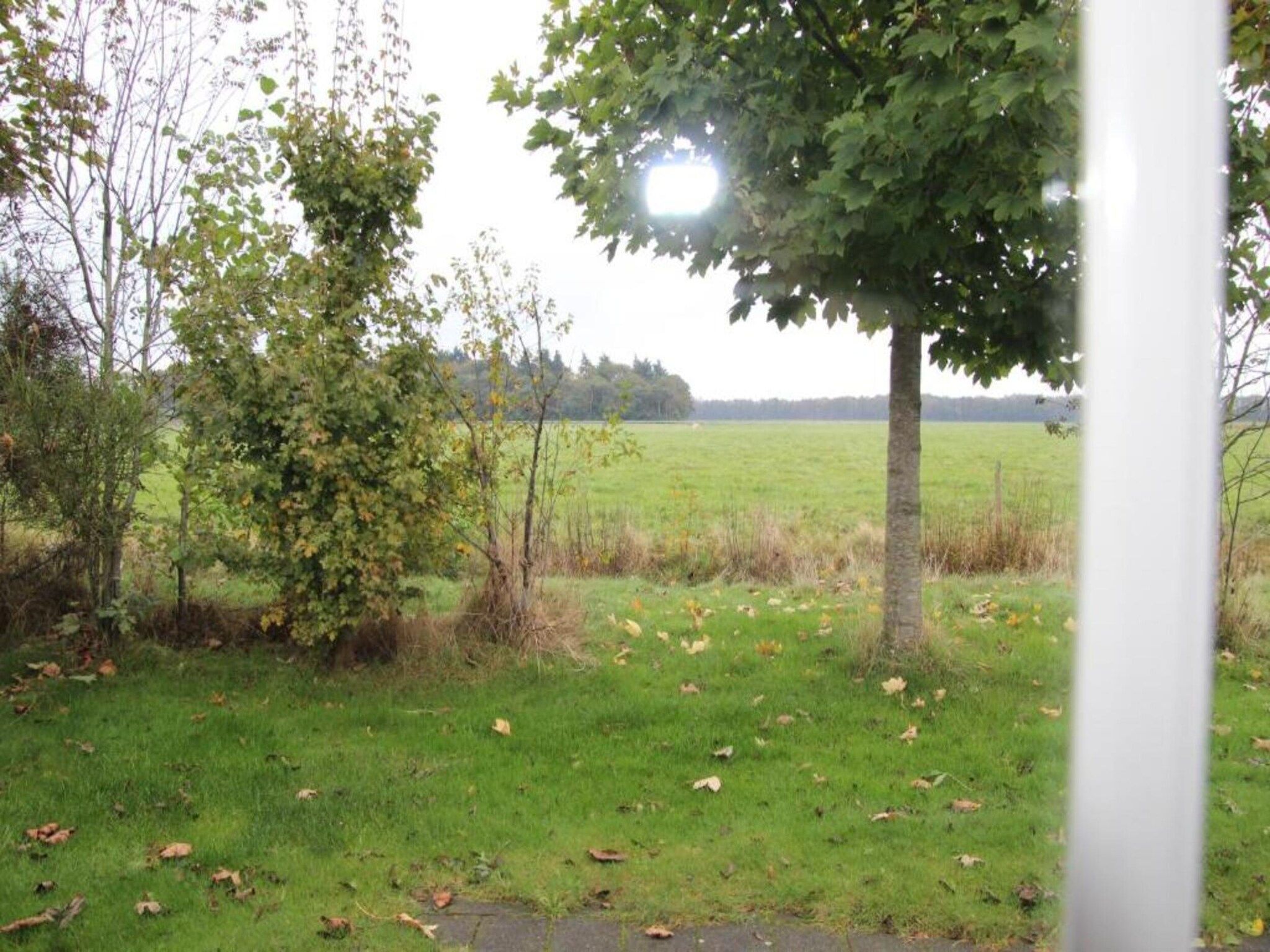 De Drentsche Patrijs in Mantinge - Foto 38 van 40