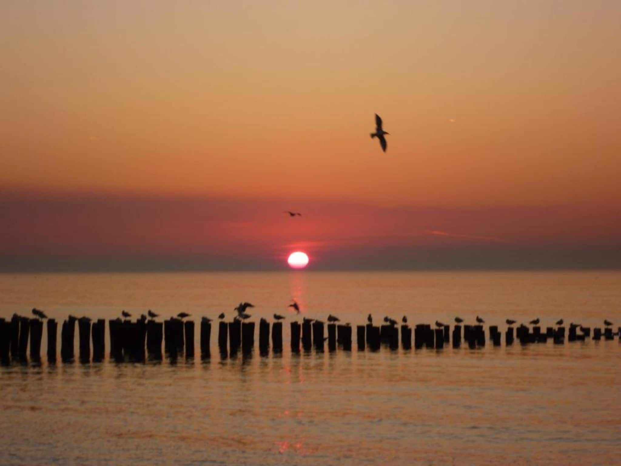 Résidence Wijngaerde 2 in Domburg - Foto 21 van 39