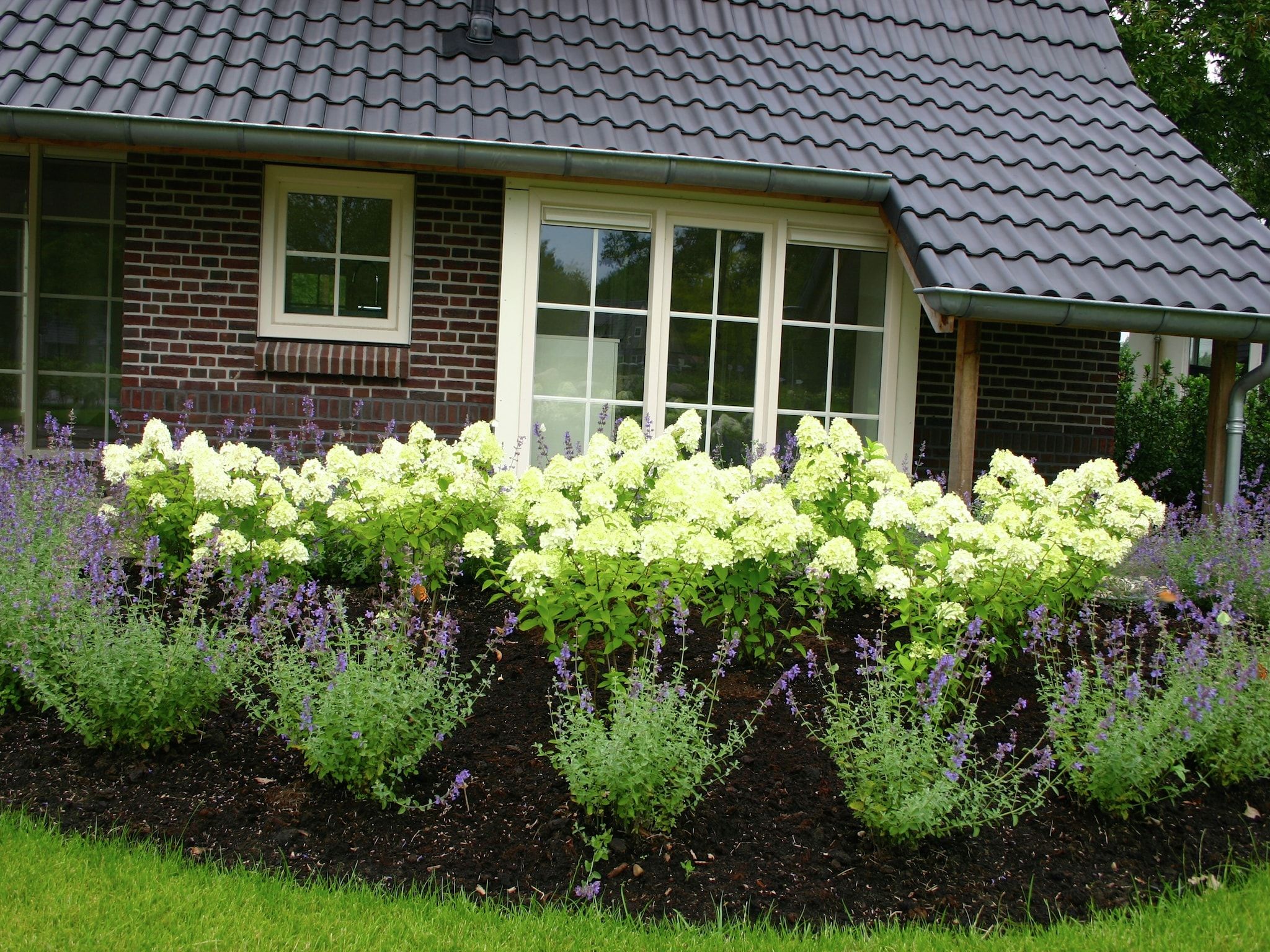 De tuin van Hof van Salland 4 in Hellendoorn