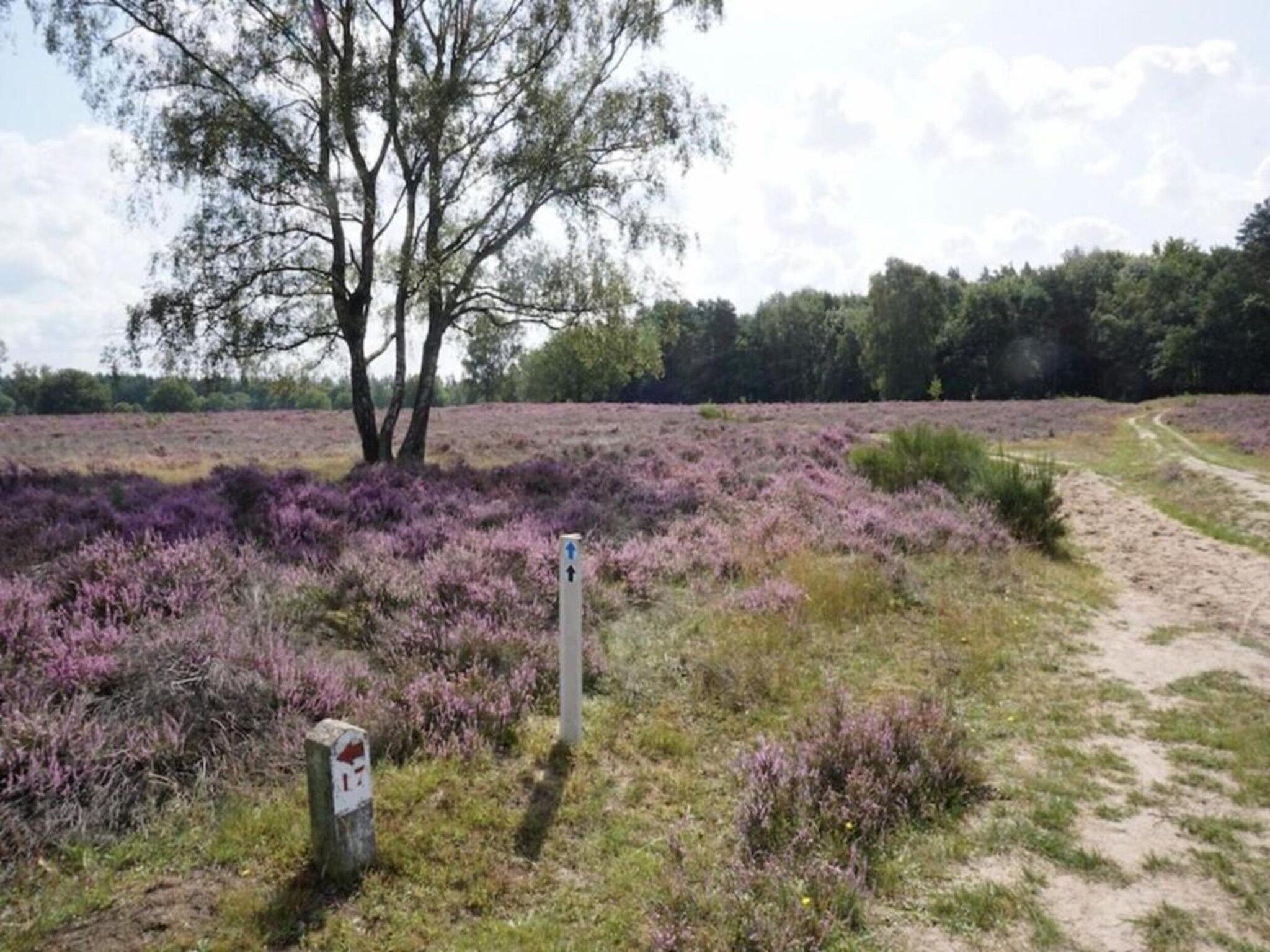 De omgeving van Hof van Salland 4 in Hellendoorn