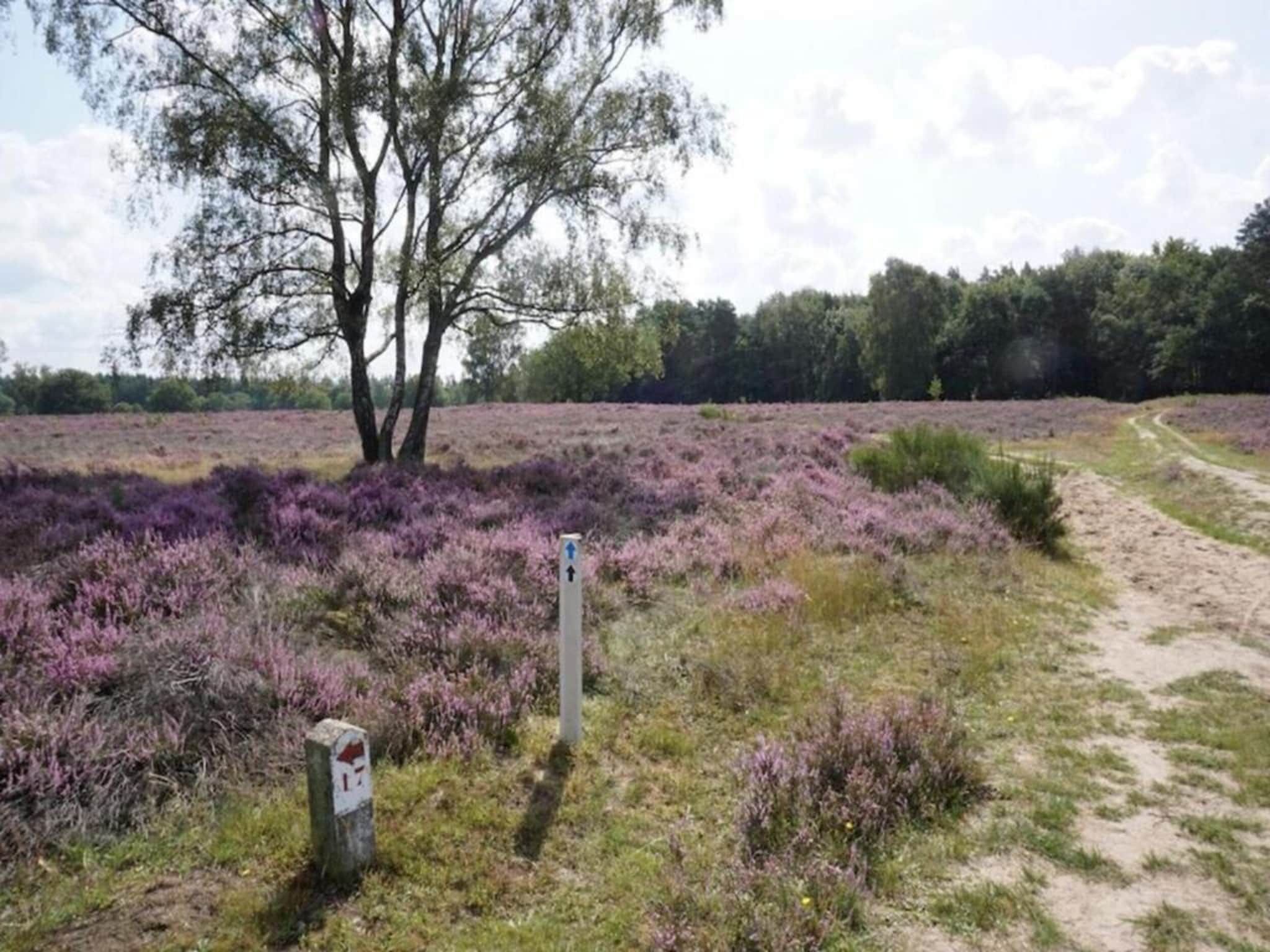 De omgeving van Hof van Salland 6 in Hellendoorn