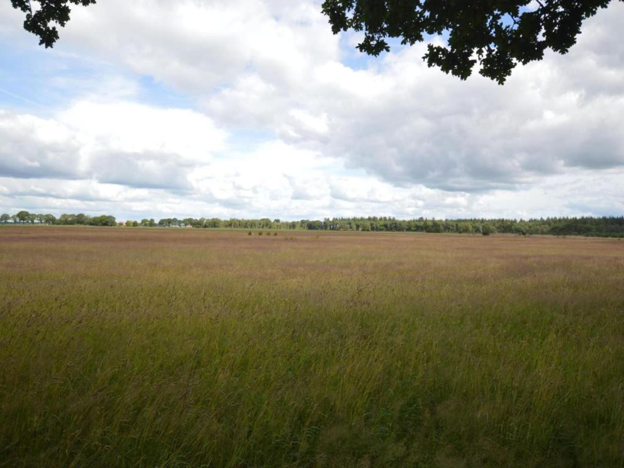 De omgeving van Hof van Salland 6 in Hellendoorn