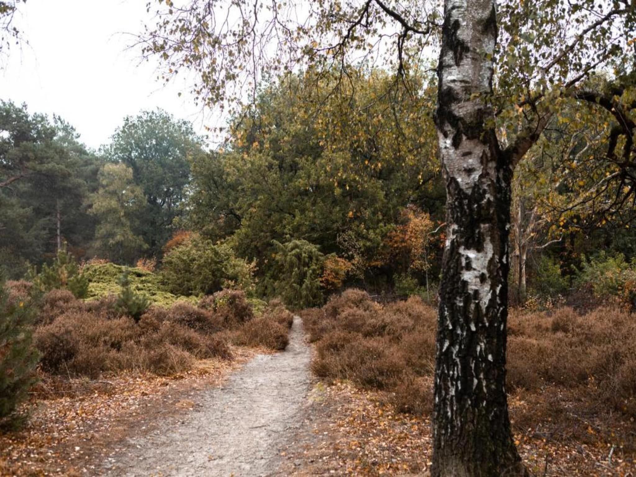 De omgeving van Hof van Salland 6 in Hellendoorn