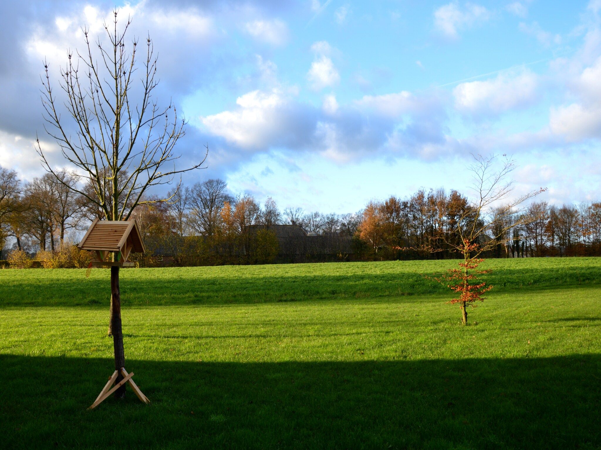 Het uitzicht vanaf Broodkast in Geesteren