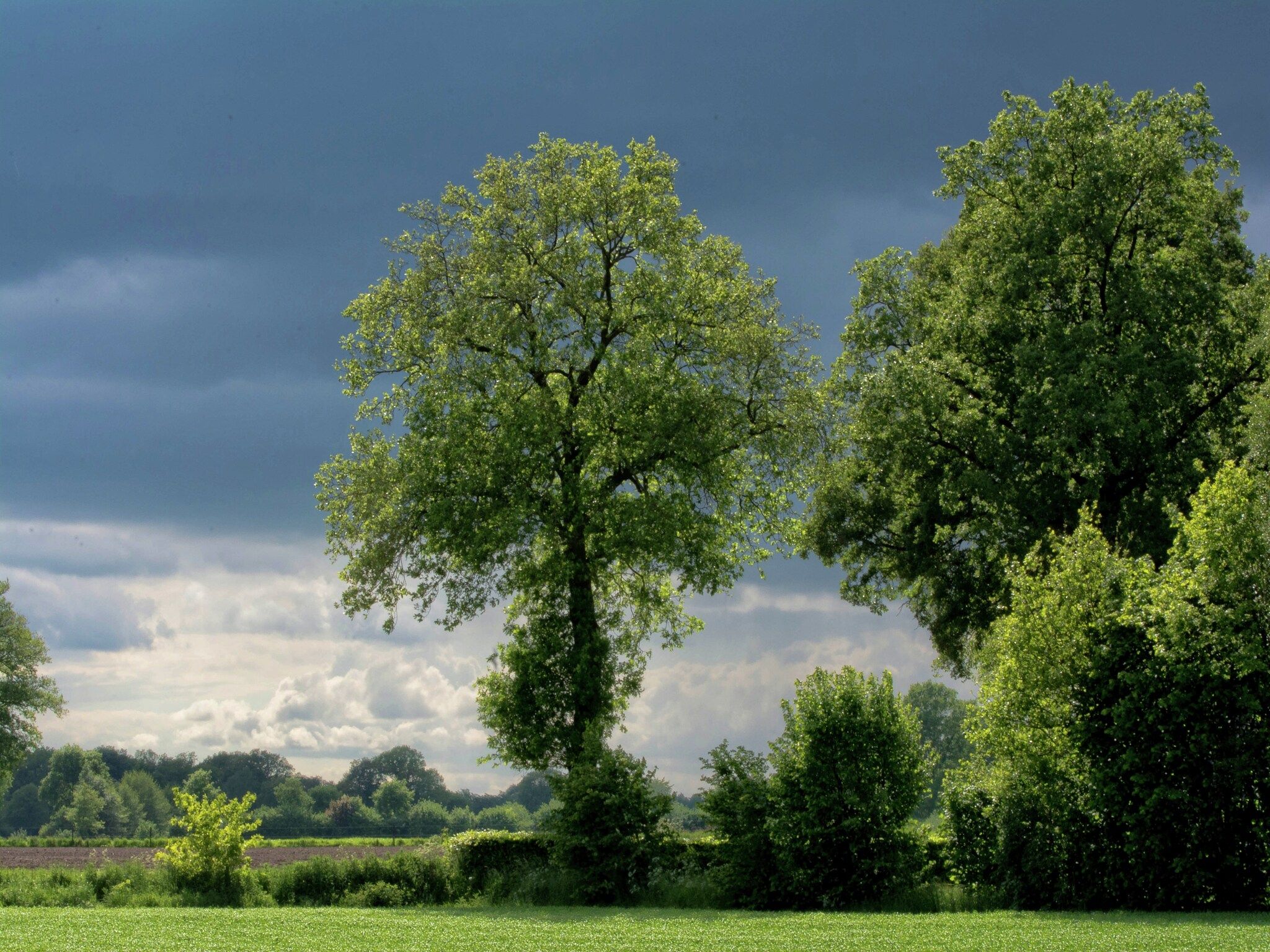 De omgeving van Broodkast in Geesteren