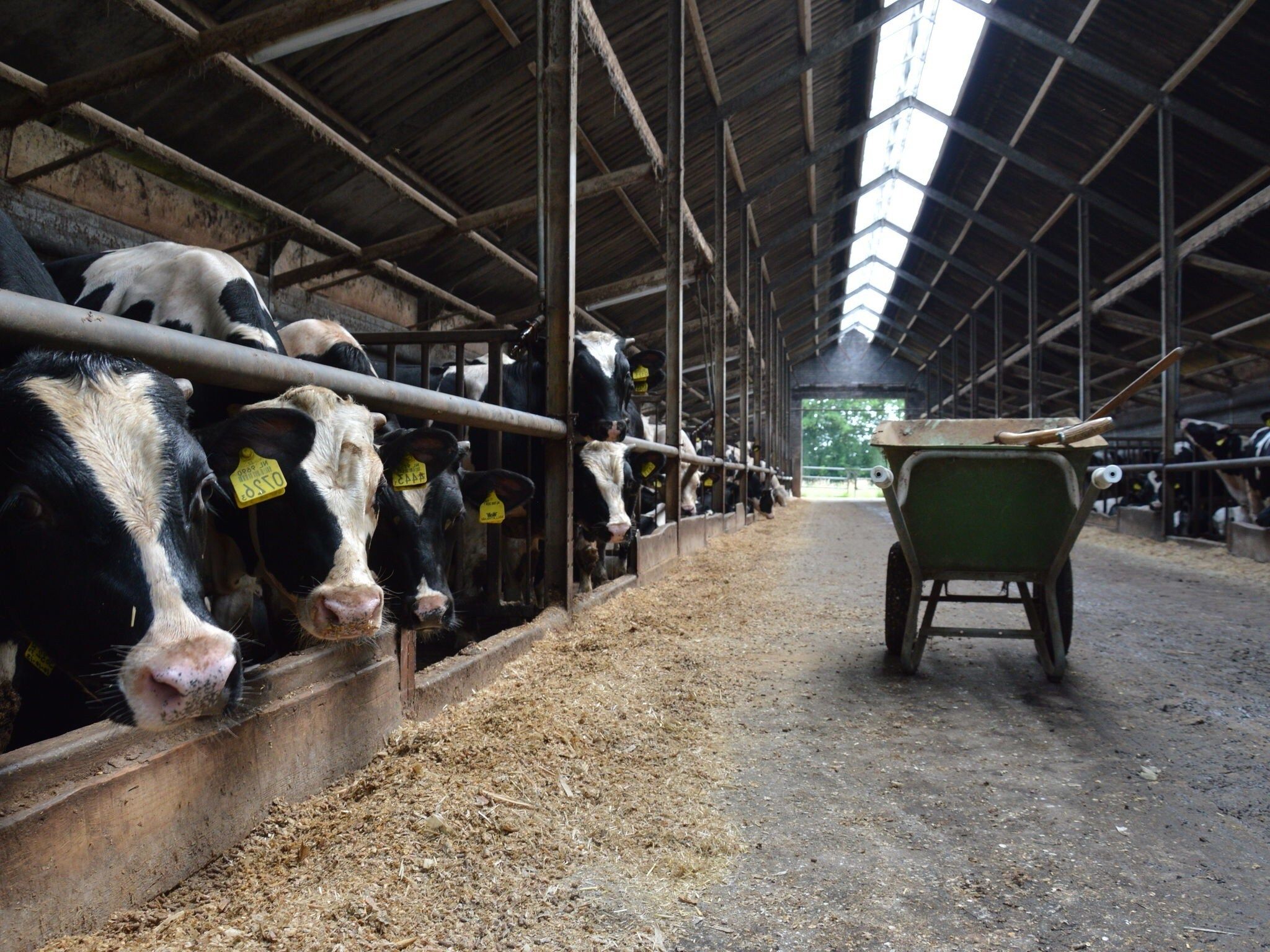 Broodkast in Geesteren - Foto 18 van 21