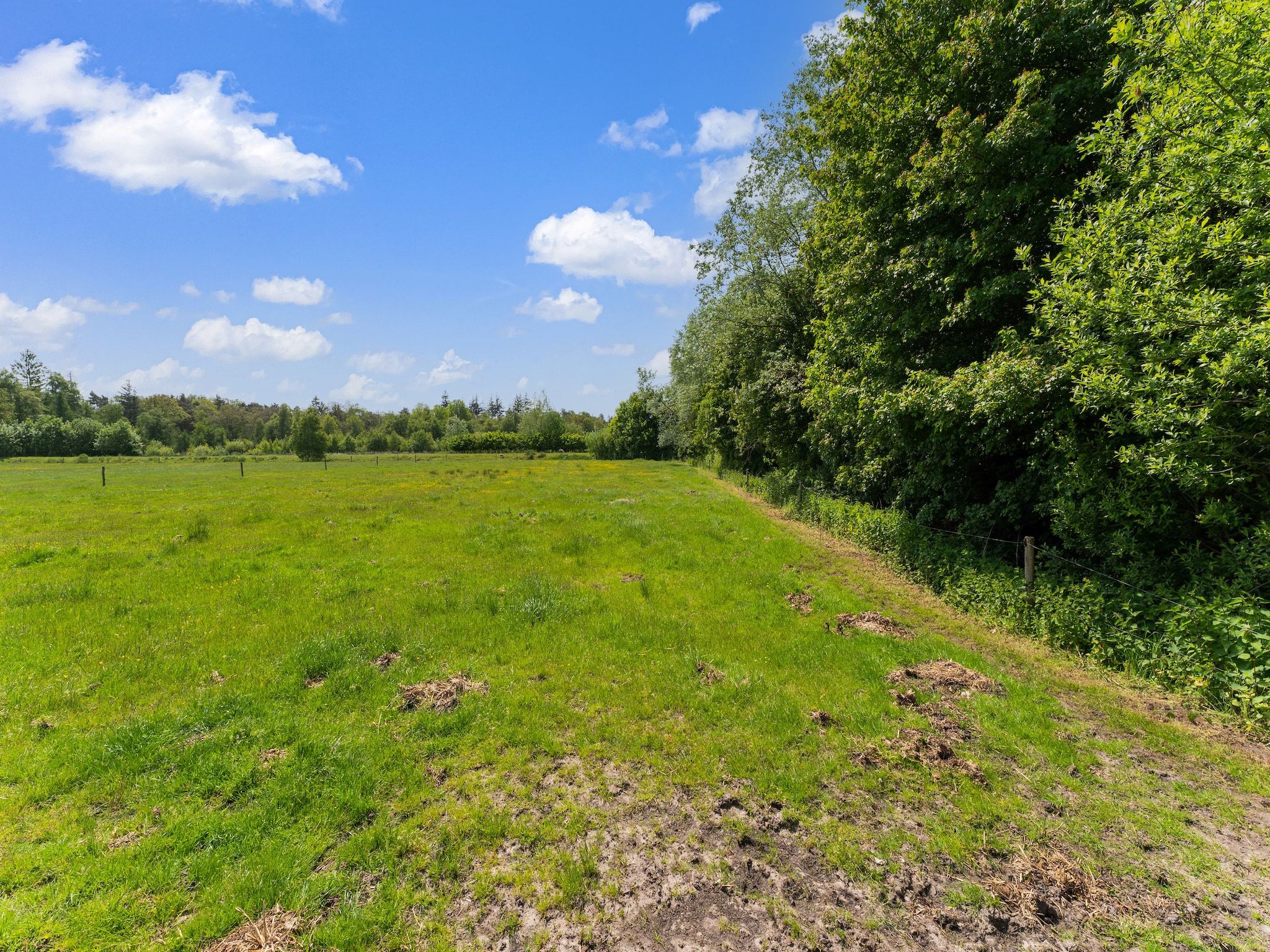 De omgeving van Natuurhuis Dichtbij in Beilen