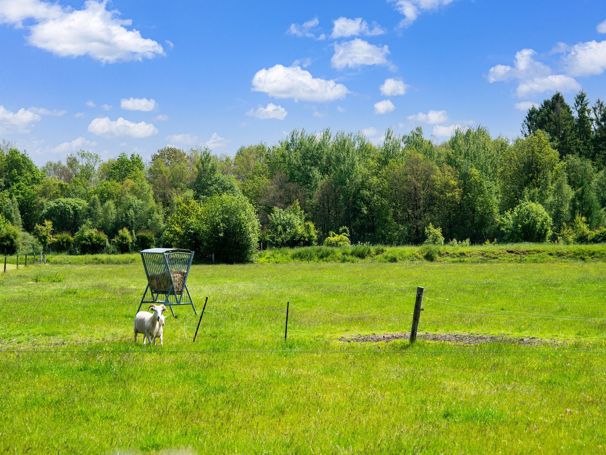 Het uitzicht vanaf Natuurhuis Dichtbij in Beilen
