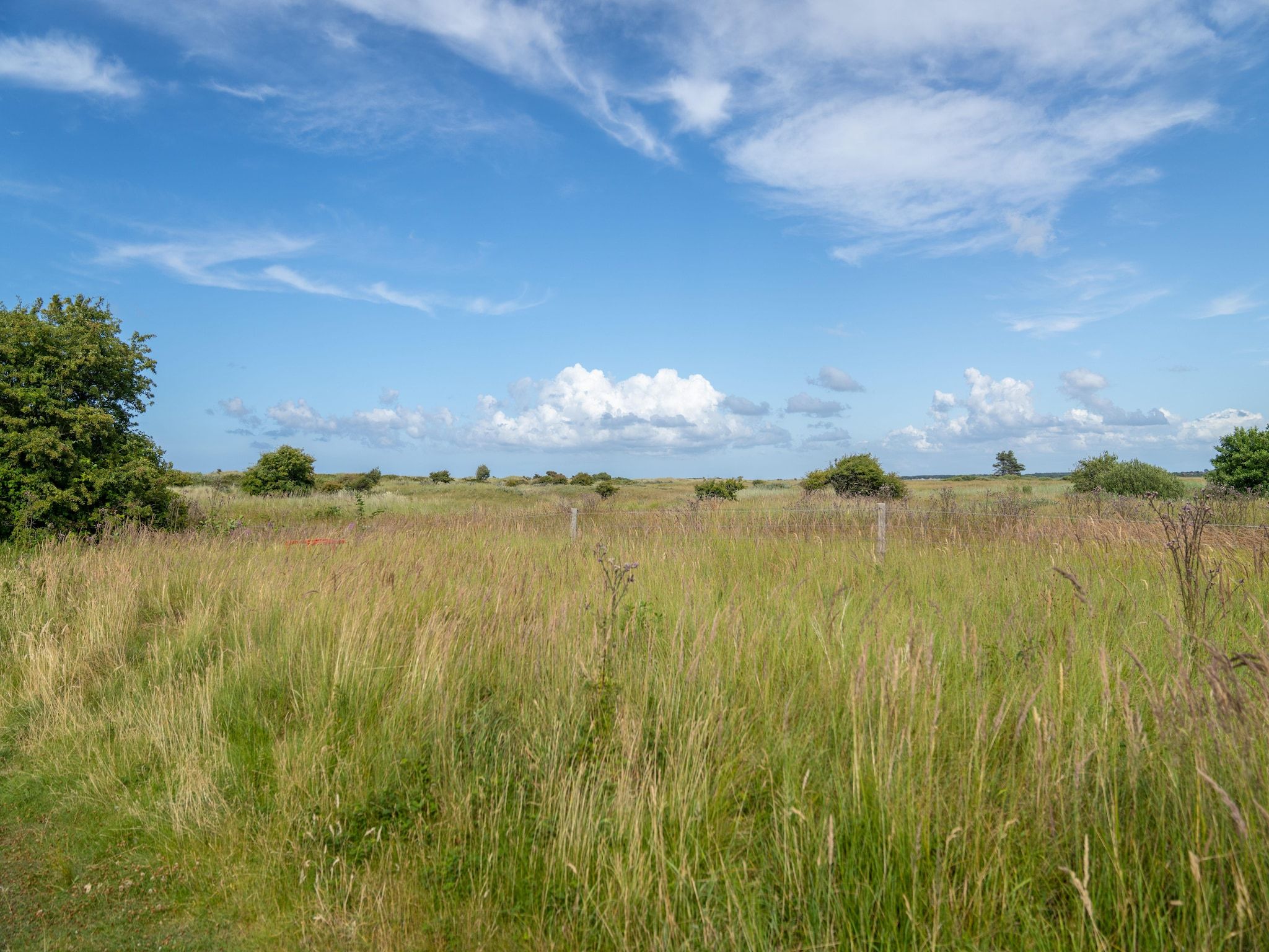 De omgeving van Boomhiemke Duinbungalow 4 in Hollum