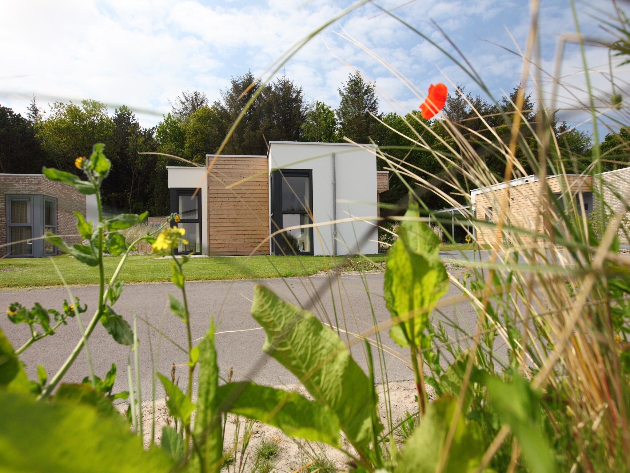 De buitenkant van Kustpark Texel 4 in De Koog