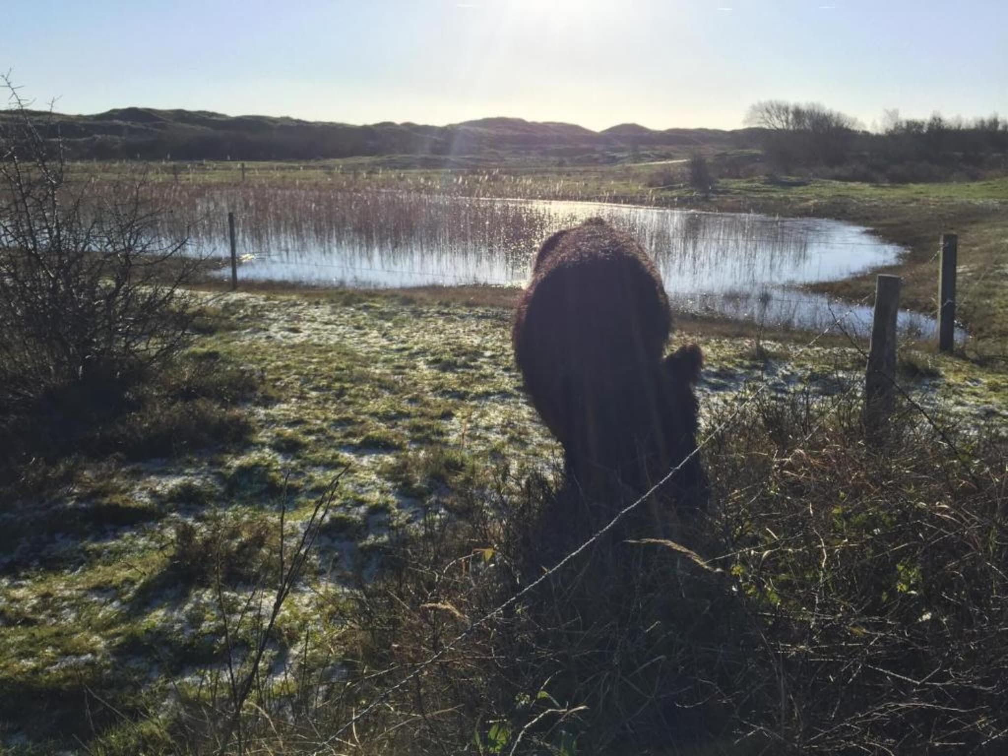 Kustpark Texel 4 in De Koog - Foto 34 van 40