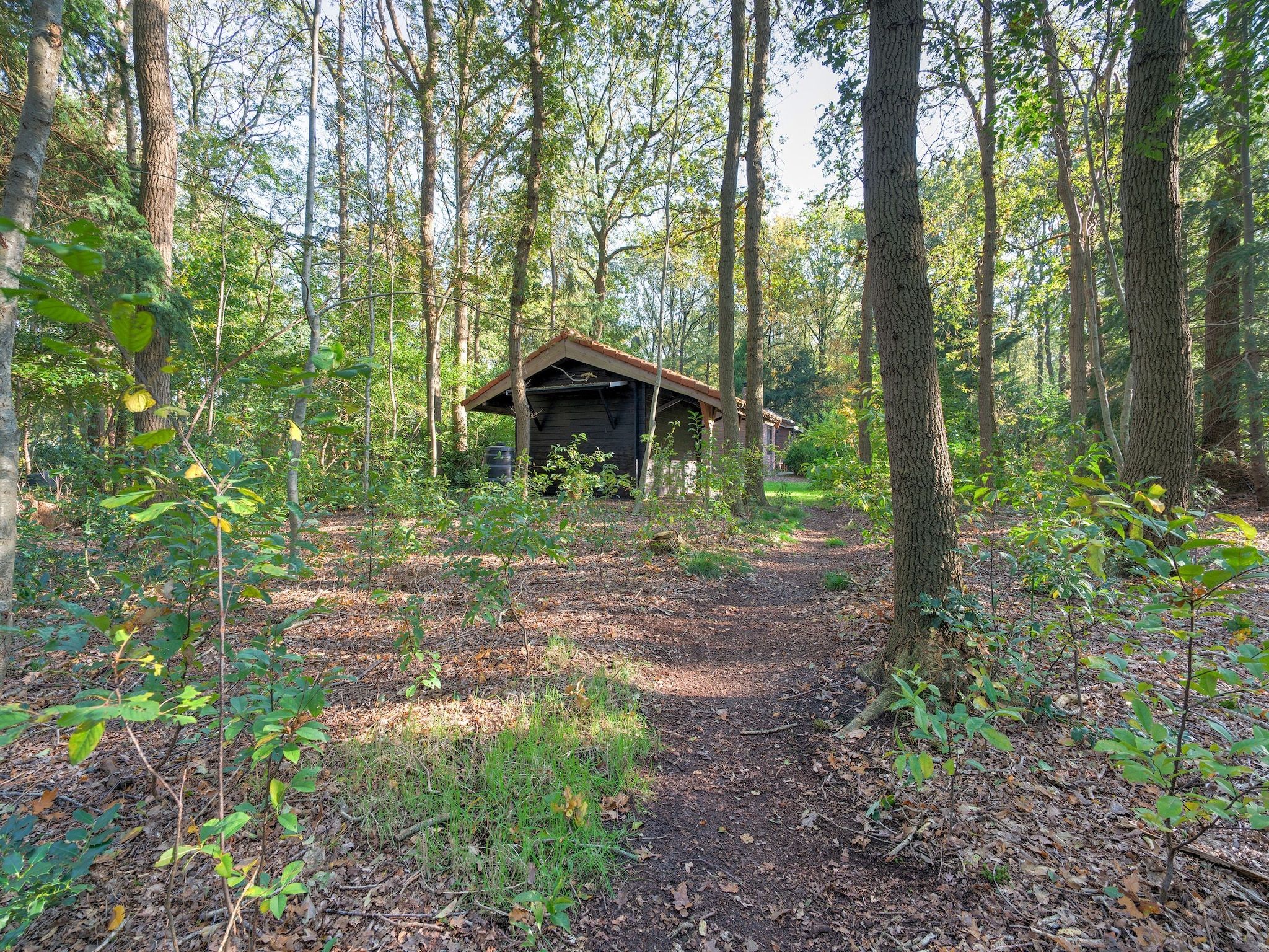 De tuin van The Forest Cottage in Zorgvlied