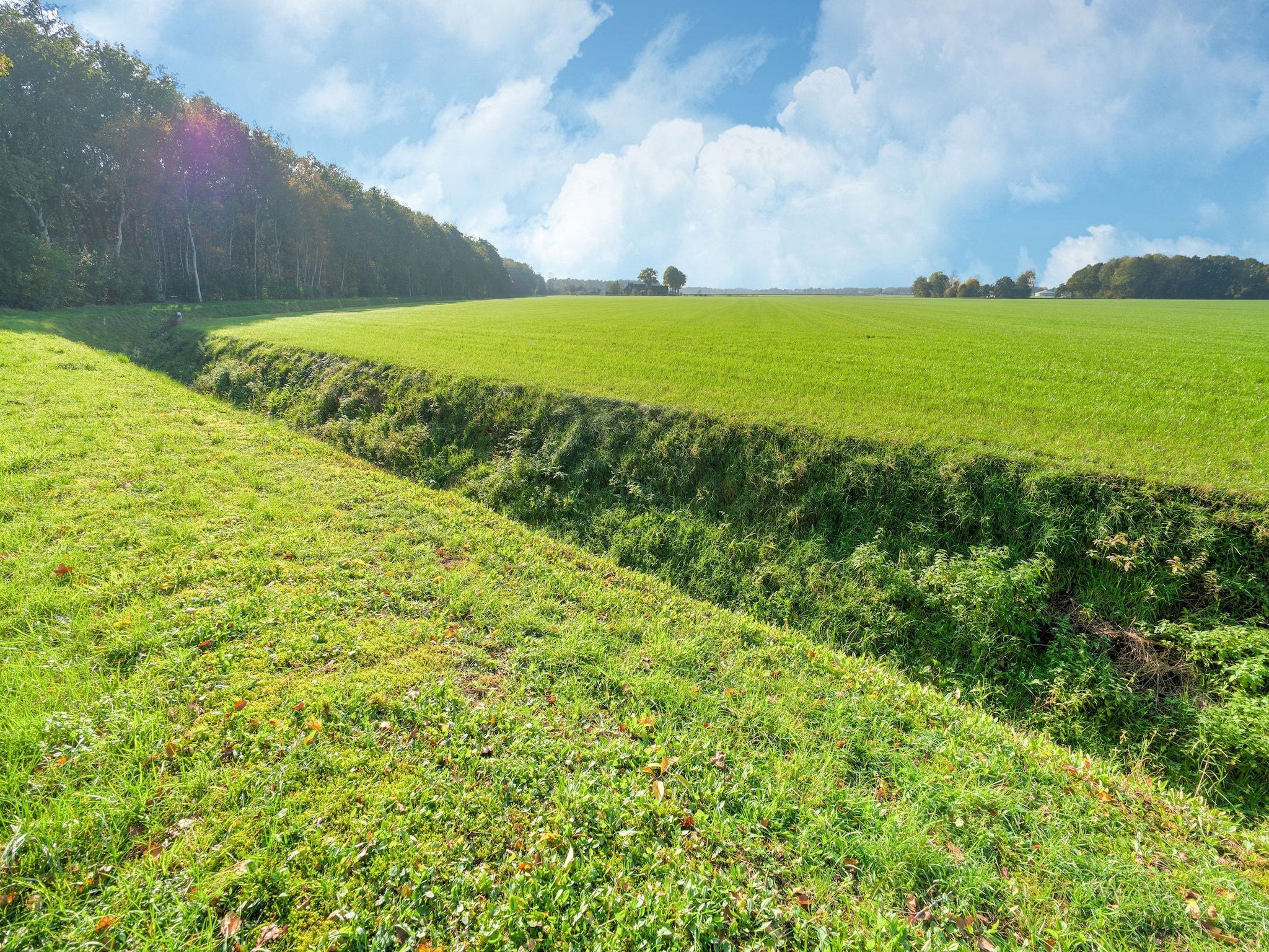 The Forest Cottage in Zorgvlied - Foto 34 van 40