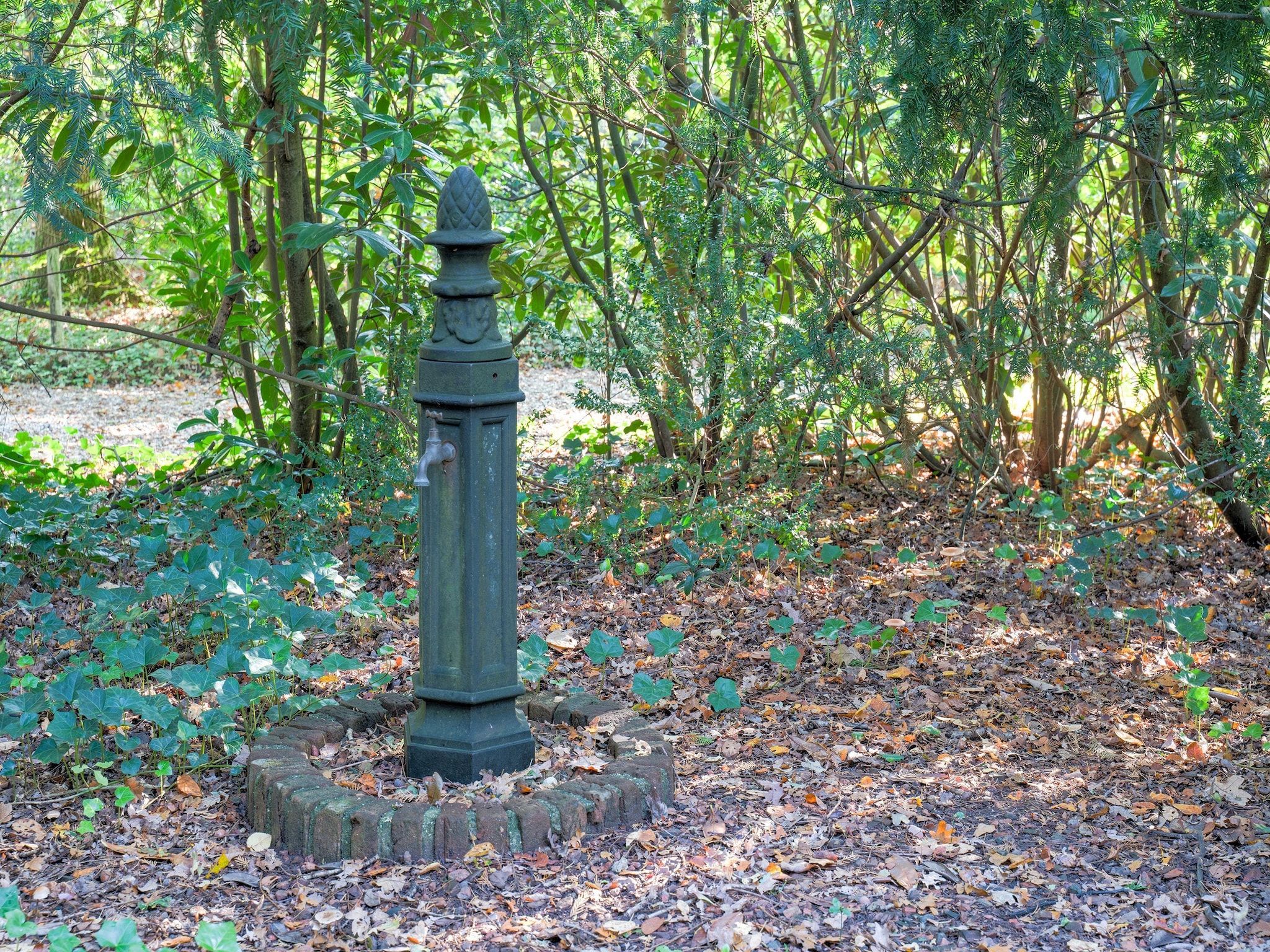 De tuin van The Forest Cottage in Zorgvlied