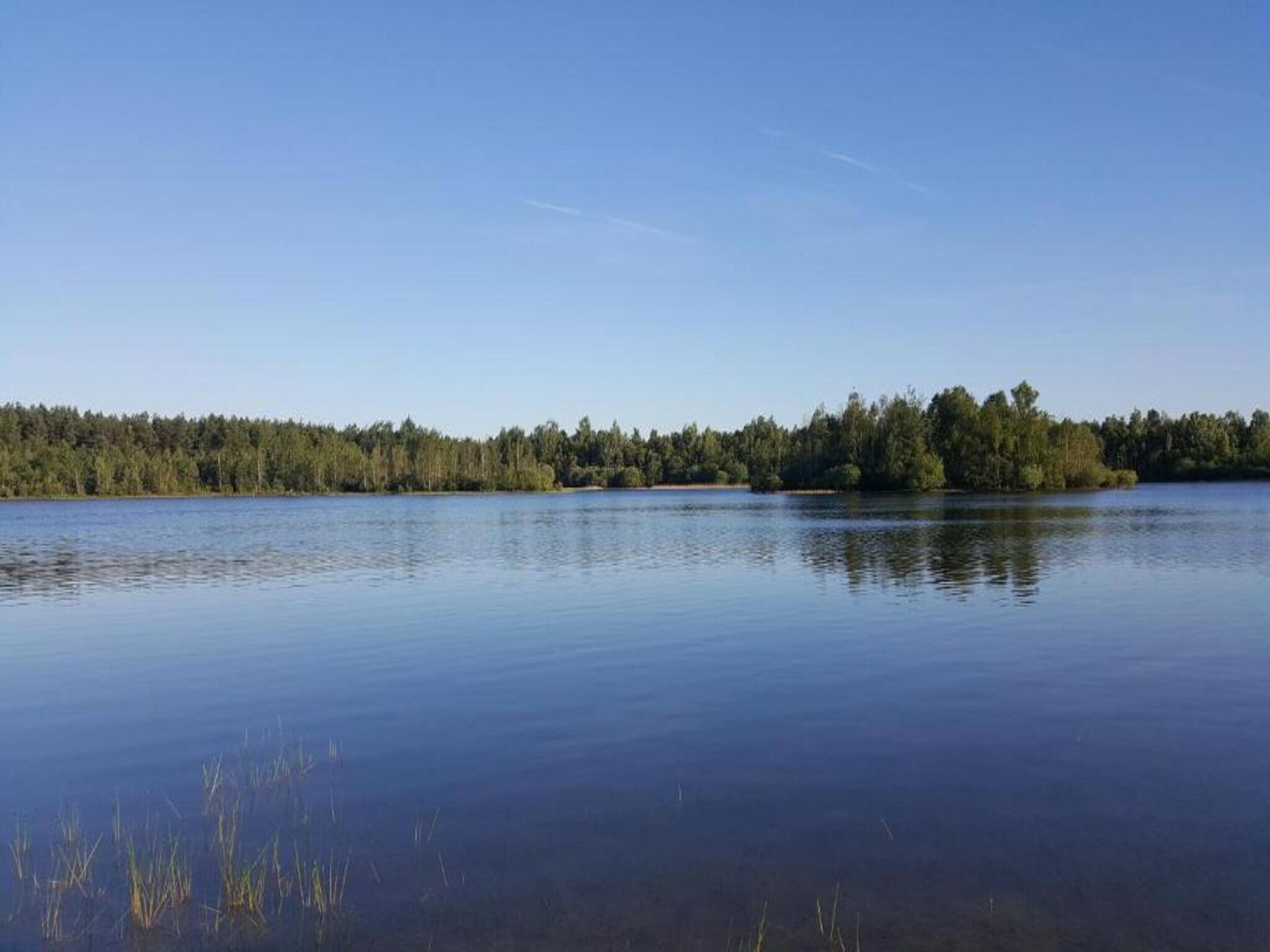 The Forest Cottage in Zorgvlied - Foto 38 van 40