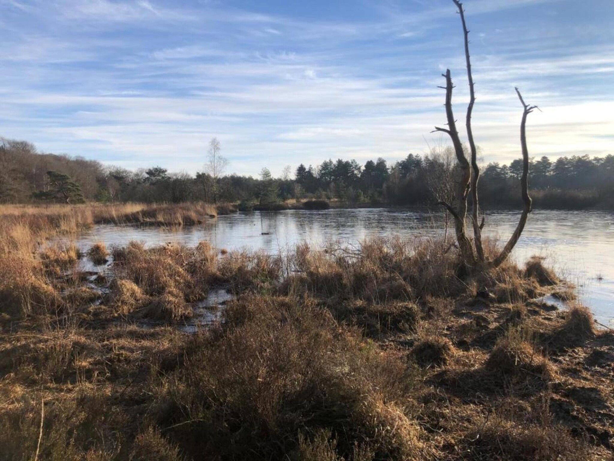 The Forest Cottage in Zorgvlied - Foto 36 van 40