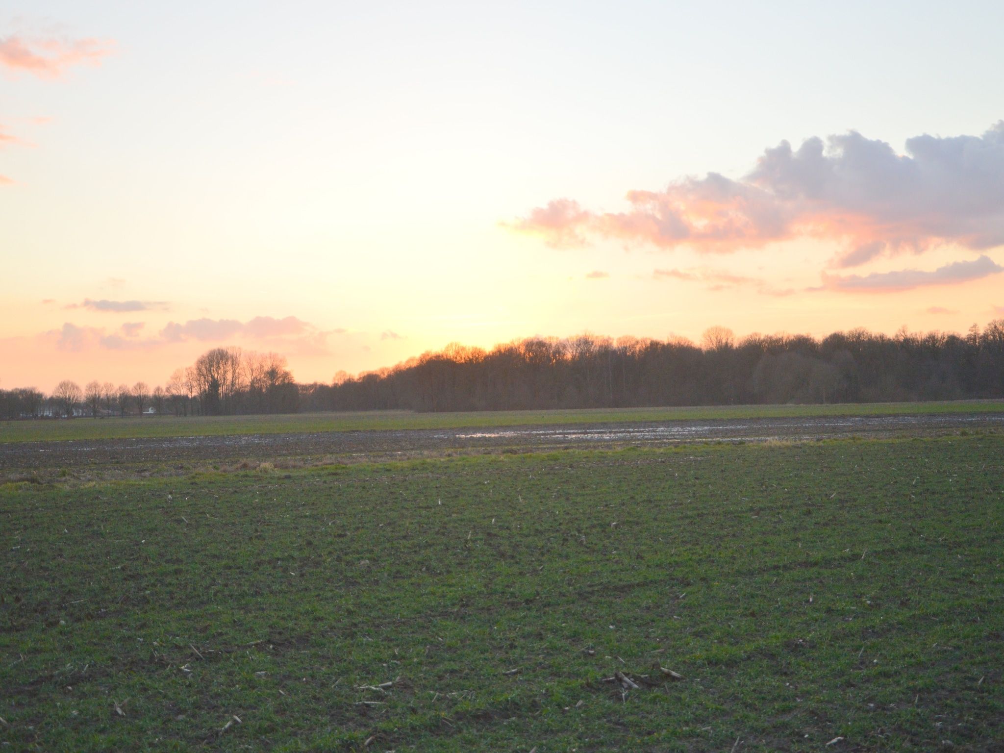 De omgeving van Bungalow 5 in Stramproy