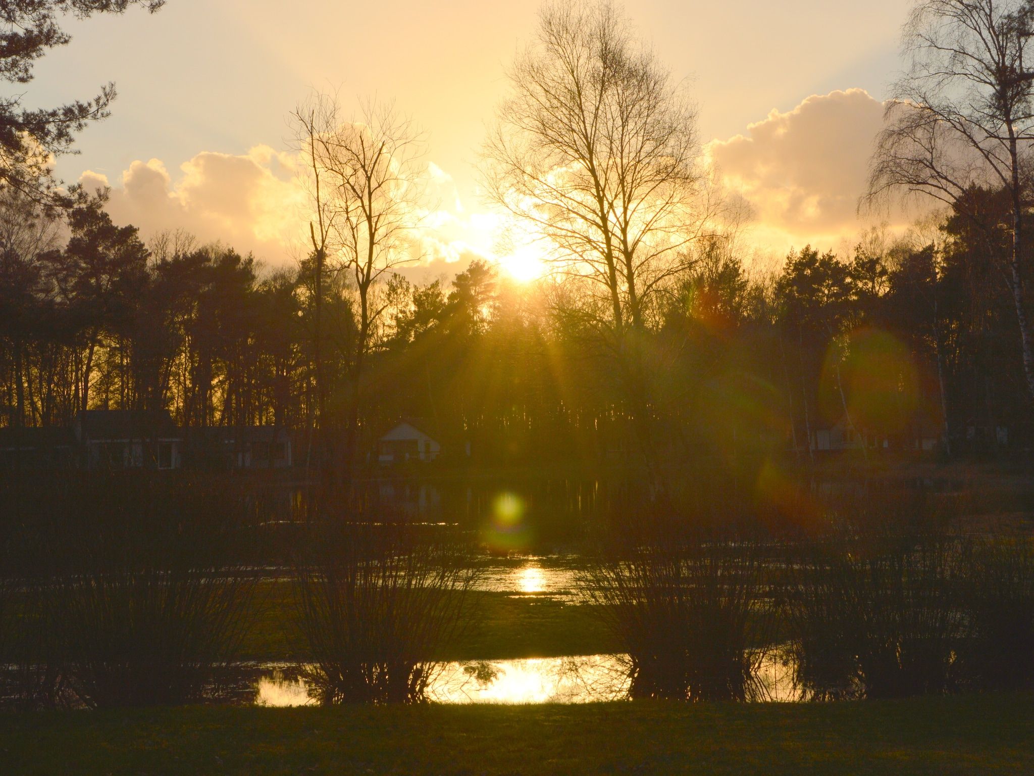 Bungalow 5 in Stramproy - Foto 34 van 39