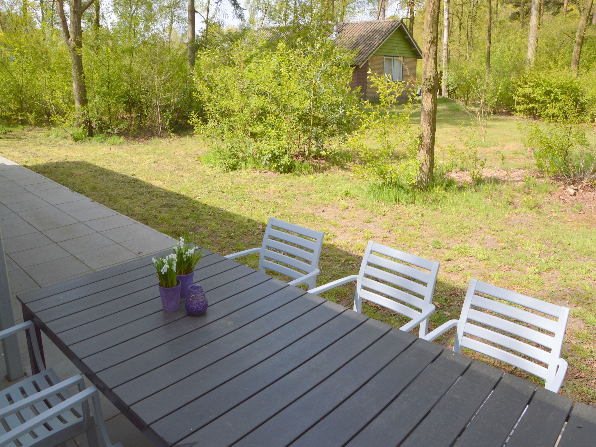 Het uitzicht vanaf Bungalow 5 in Stramproy