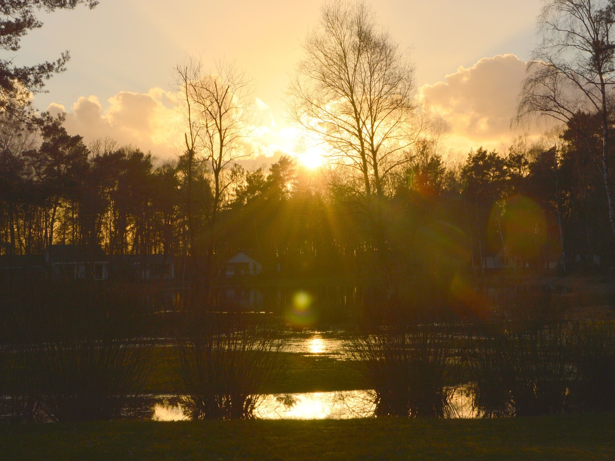Het uitzicht vanaf Bungalow 4 in Stramproy