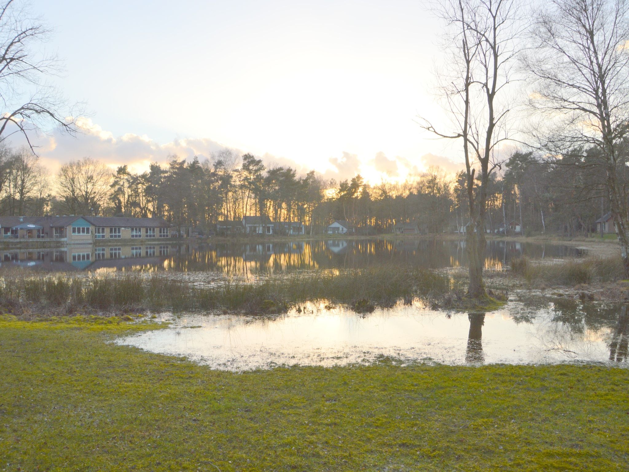 Parkfaciliteiten bij Bungalow 4 in Stramproy