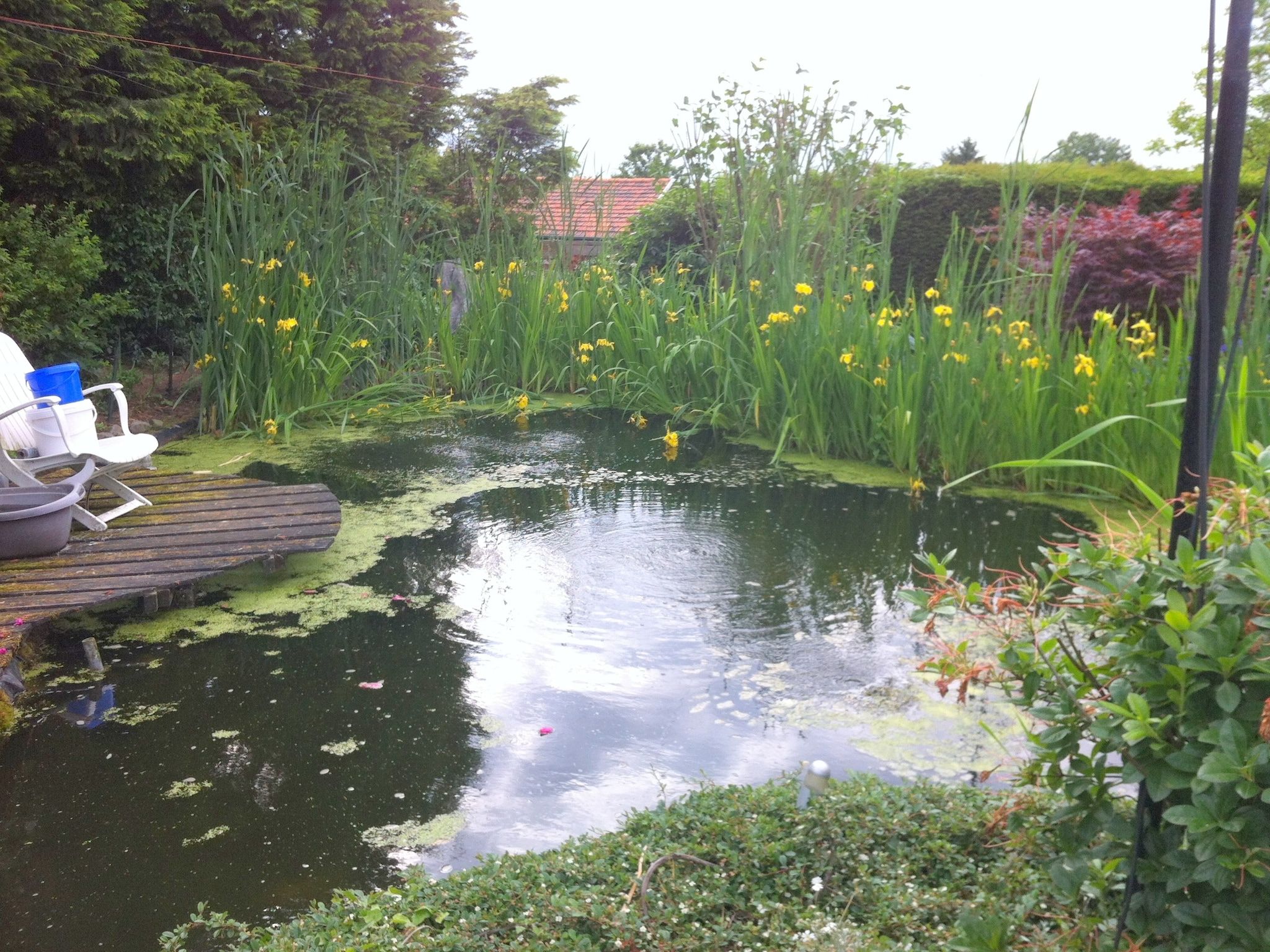 De tuin van De Sjuur in Sweikhuizen