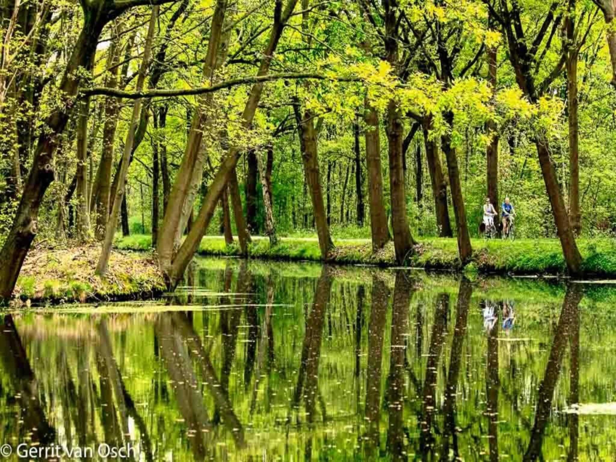 De Sjuur in Sweikhuizen - Foto 30 van 40