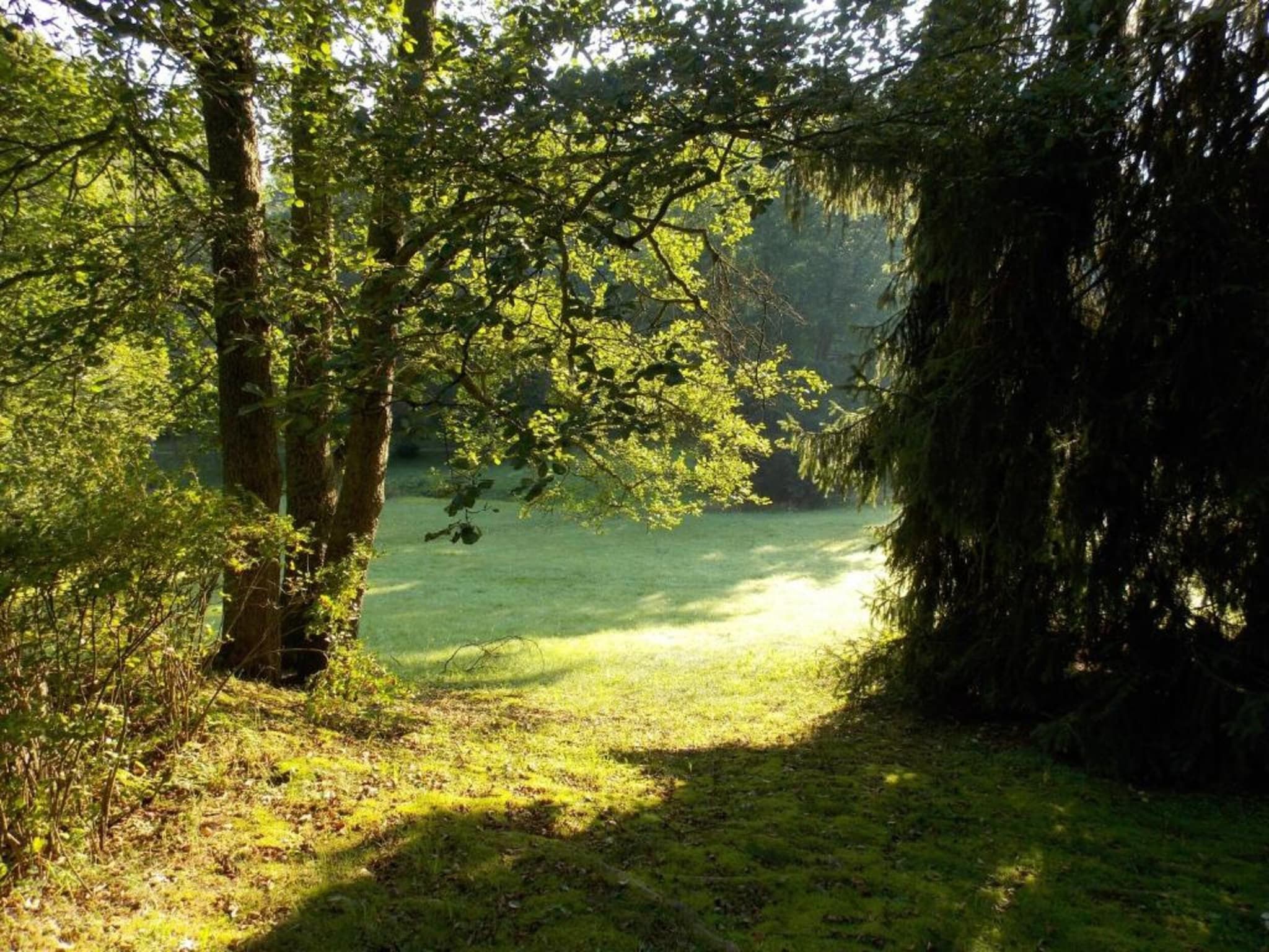 Vakantiepark de Tabaksschuur 2 in Elst - Foto 18 van 26