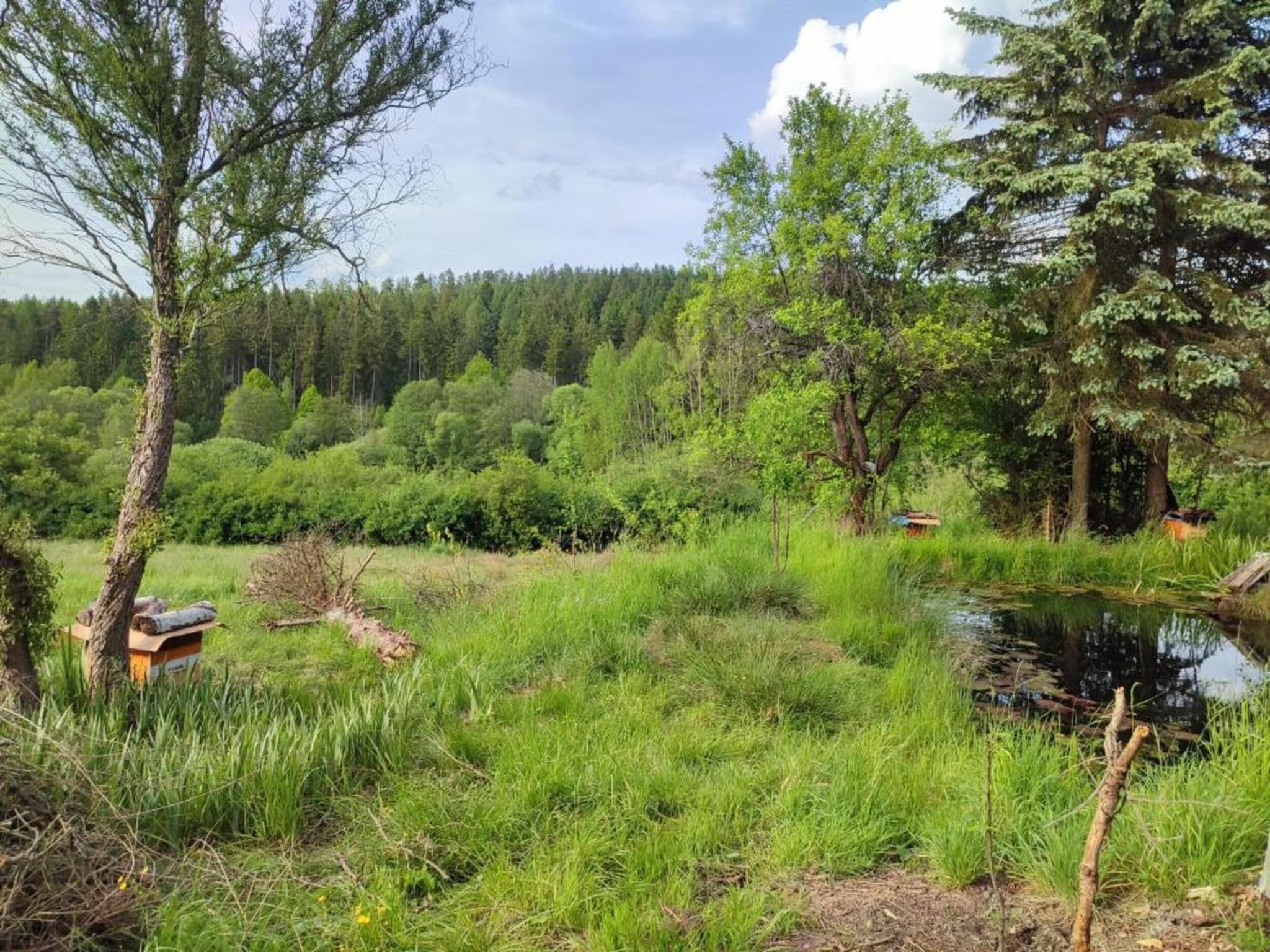 Vakantiepark de Tabaksschuur 2 in Elst - Foto 15 van 26