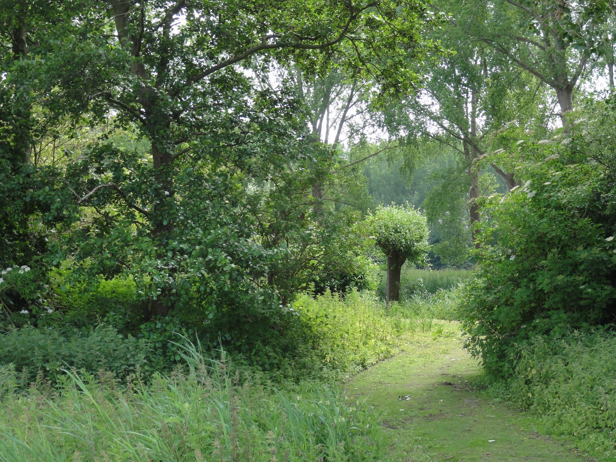 Houck in Koewacht - Foto 18 van 38