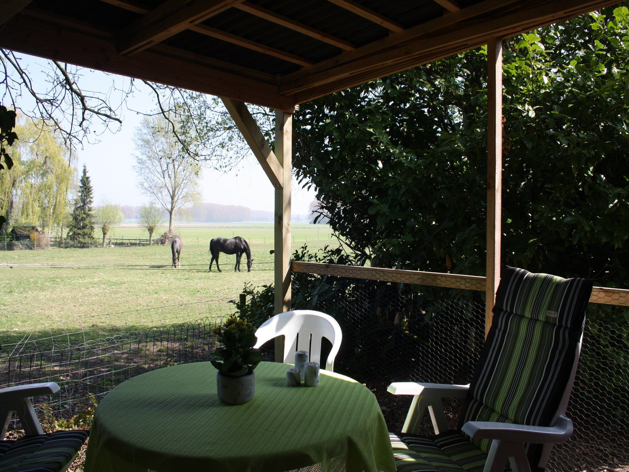 Het terras van Houck in Koewacht