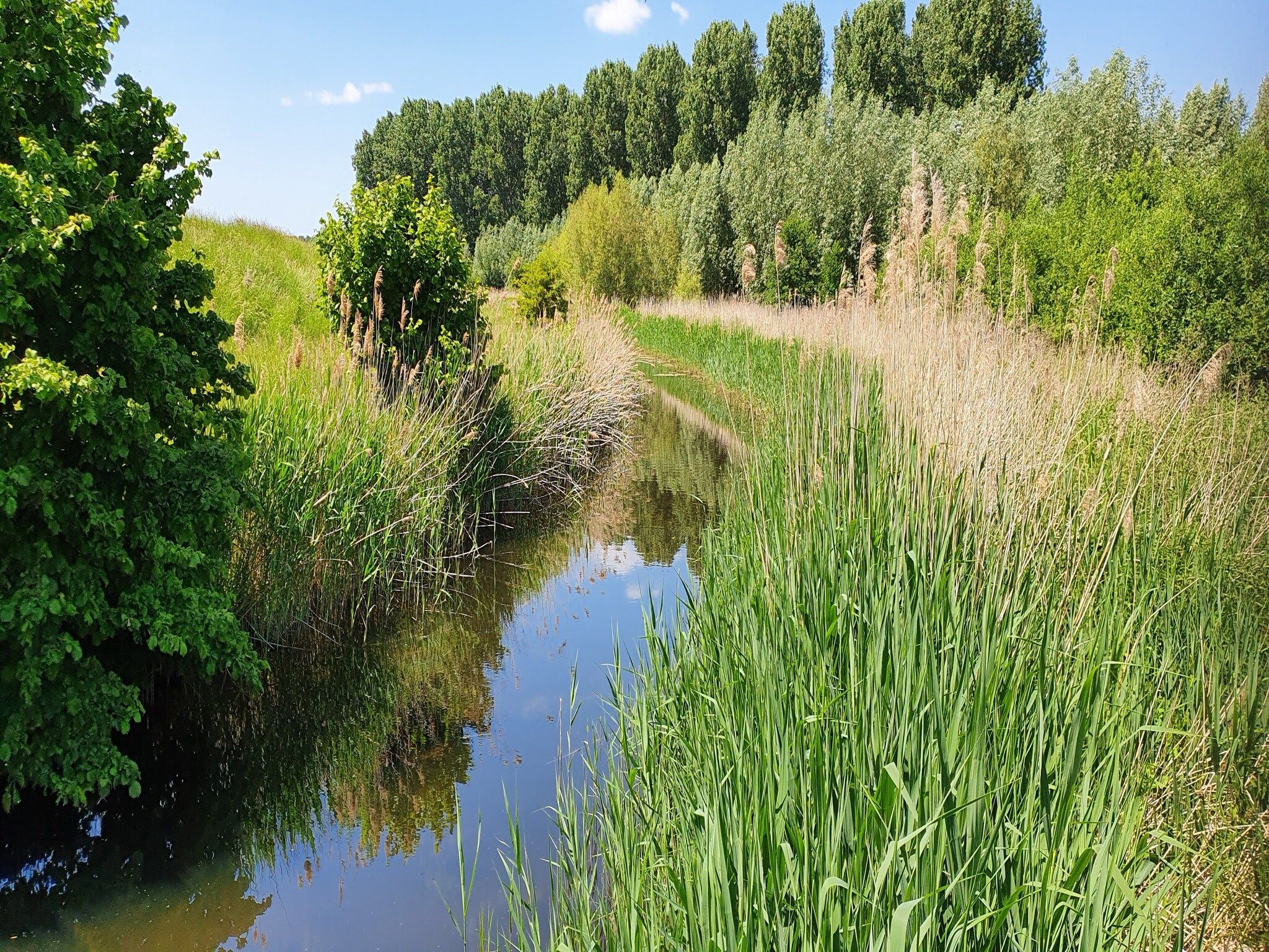 Houck in Koewacht - Foto 22 van 38