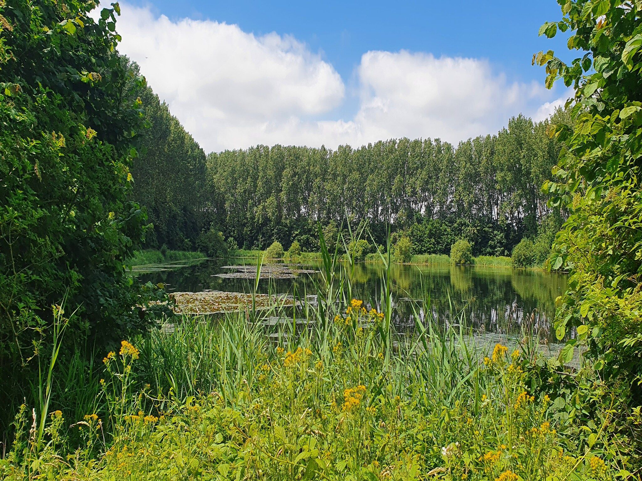 Houck in Koewacht - Foto 21 van 38