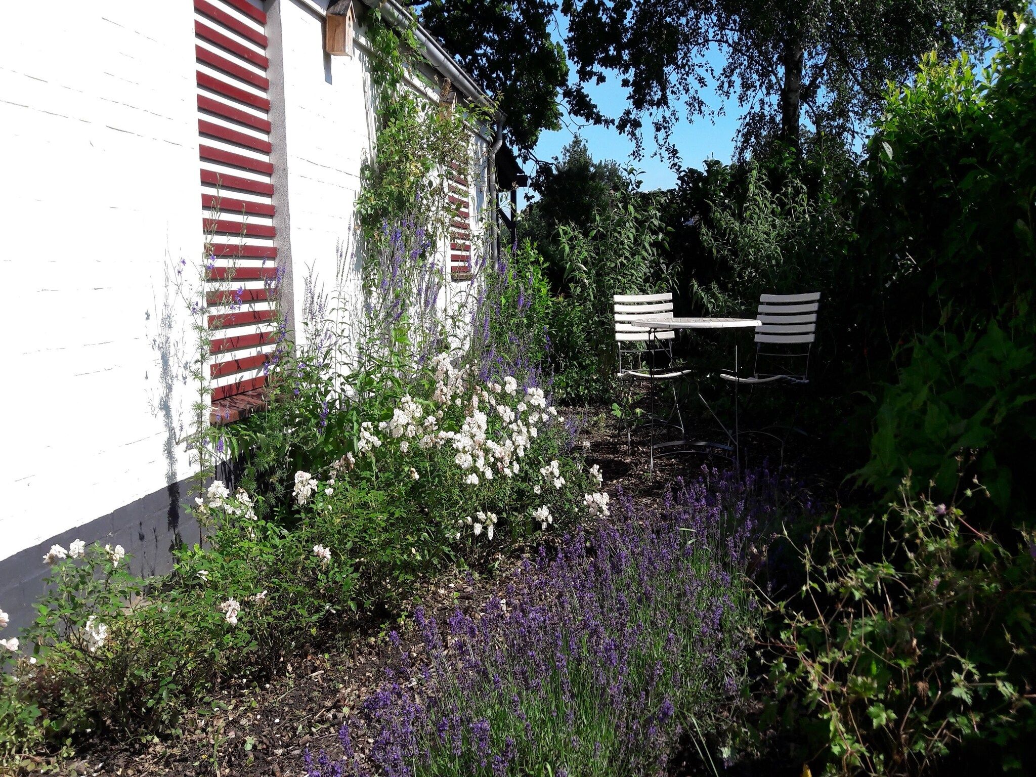 De tuin van Houck in Koewacht