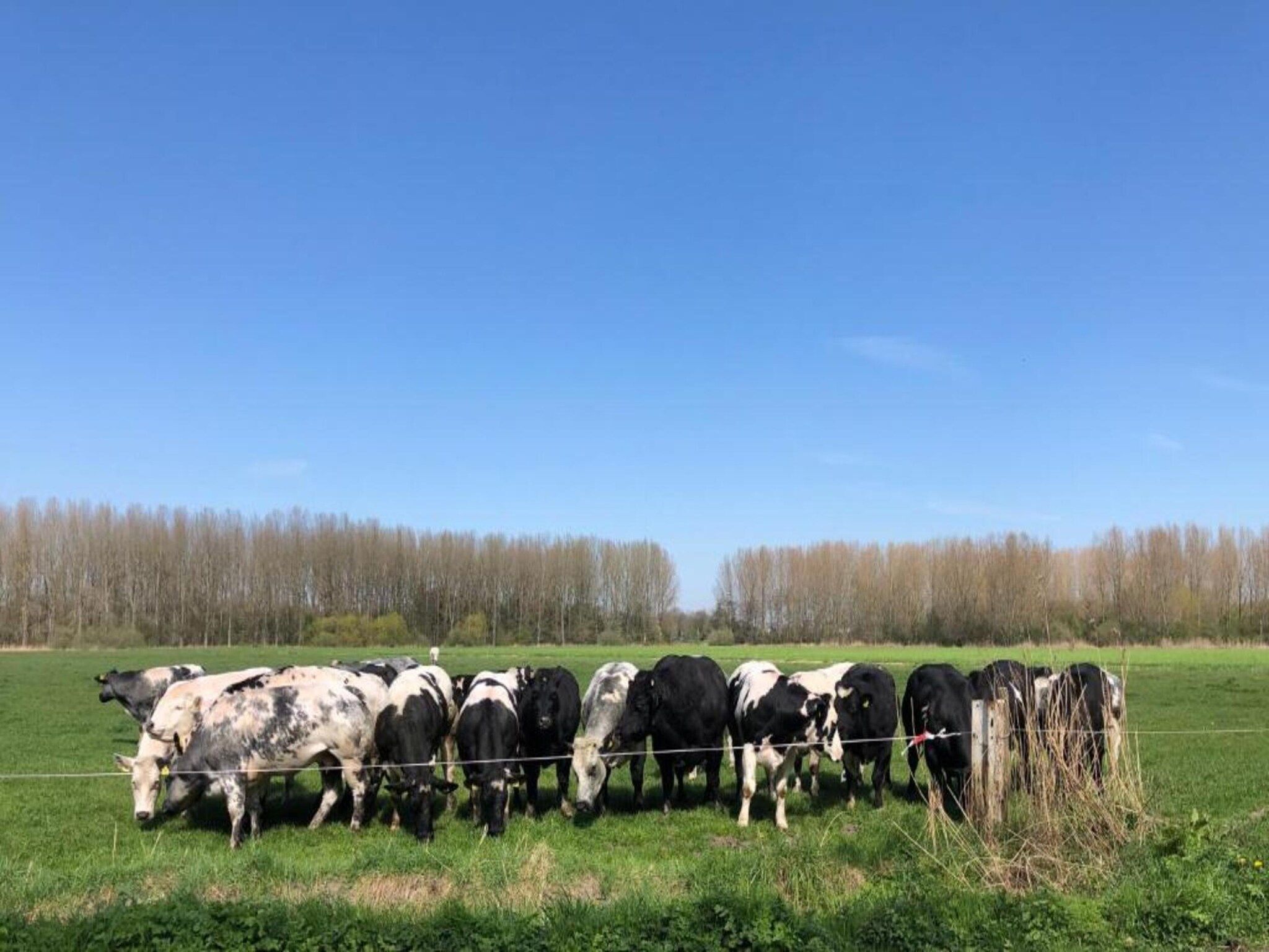 Houck in Koewacht - Foto 32 van 38