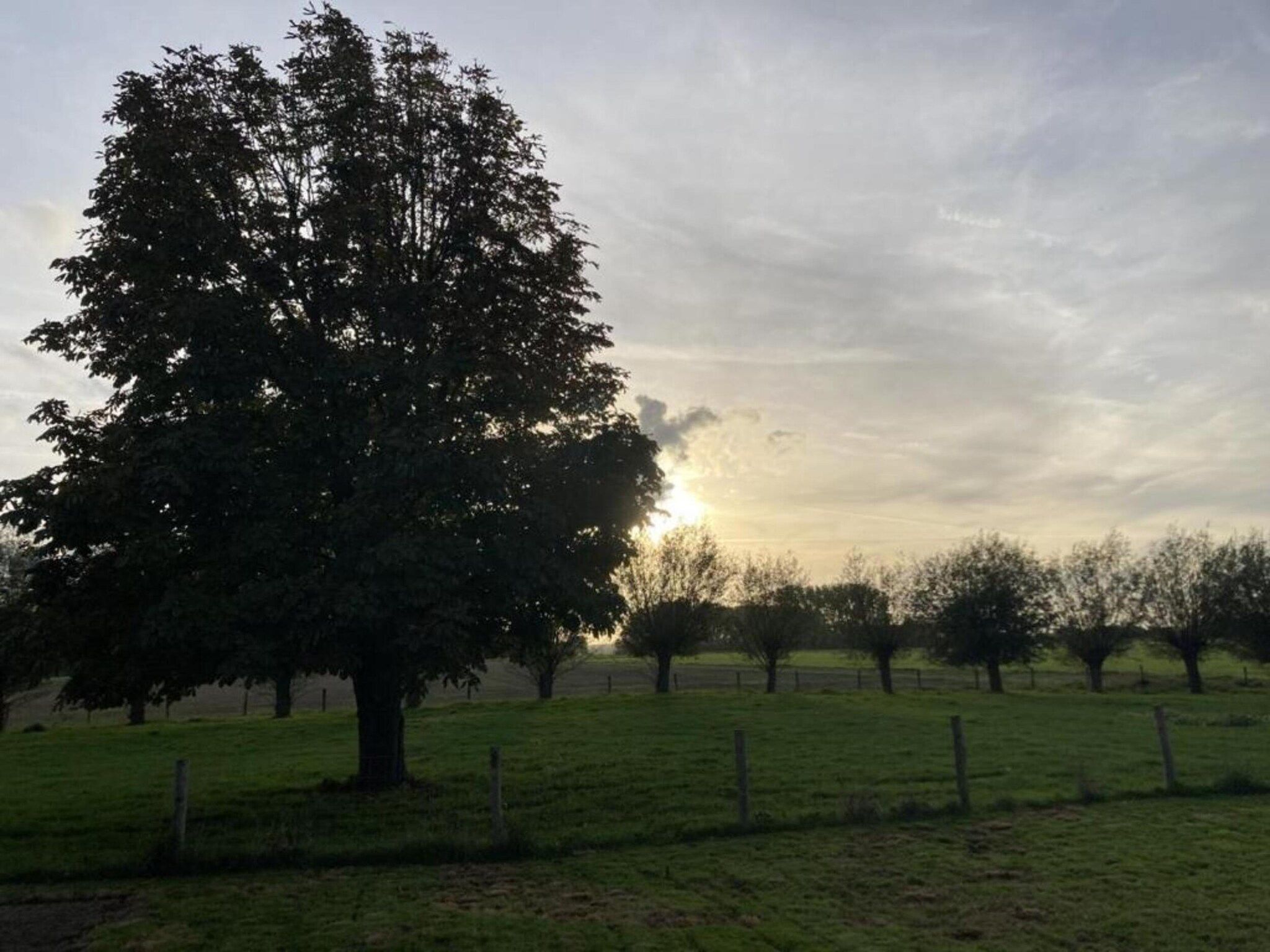 Houck in Koewacht - Foto 31 van 38