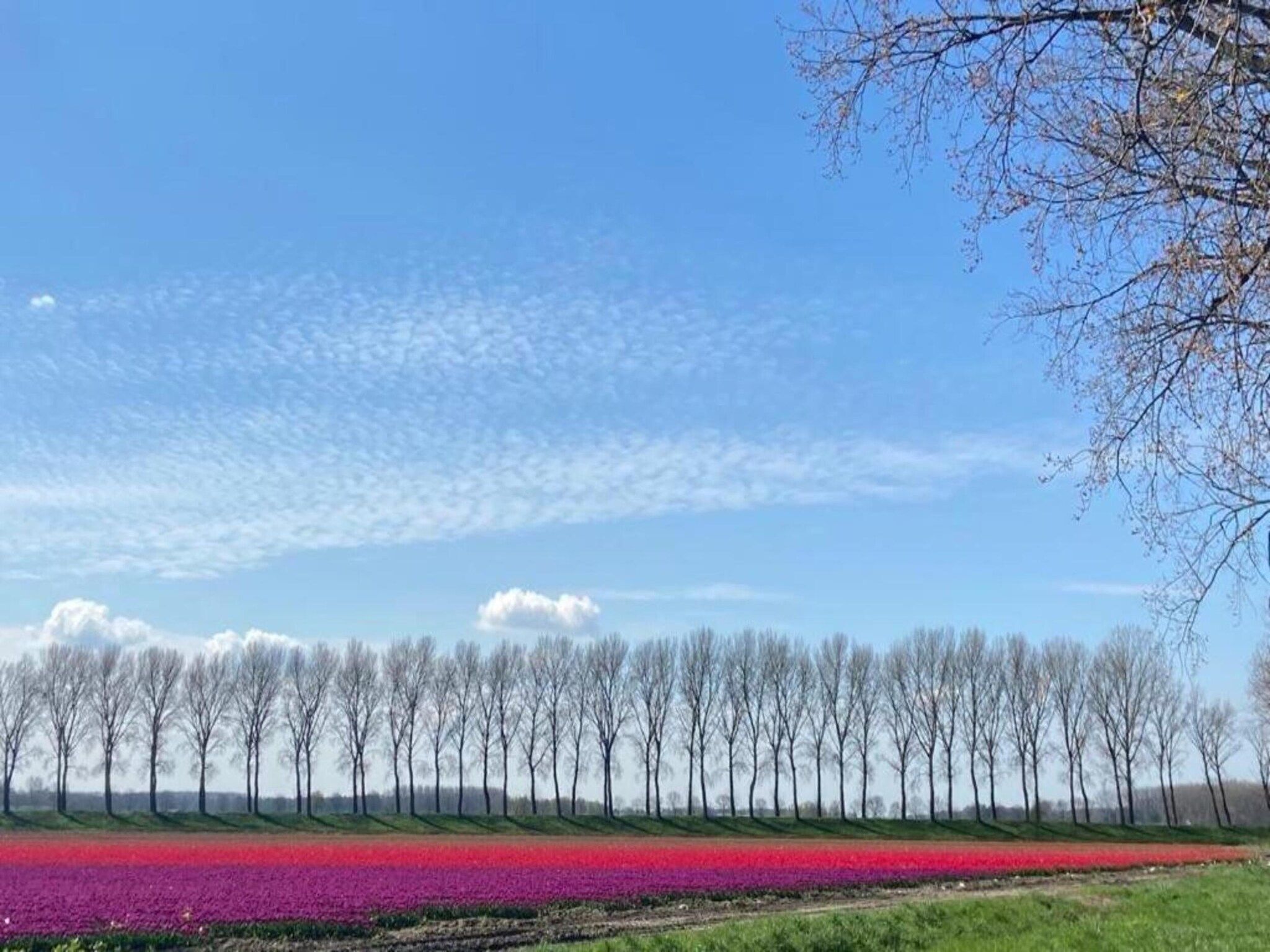 Houck in Koewacht - Foto 33 van 38