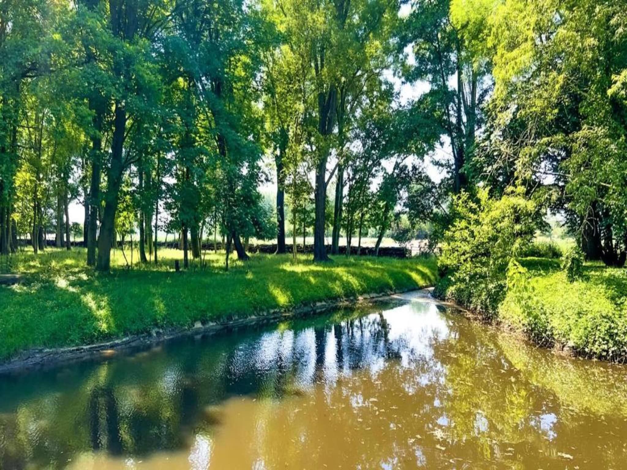 Houck in Koewacht - Foto 26 van 38